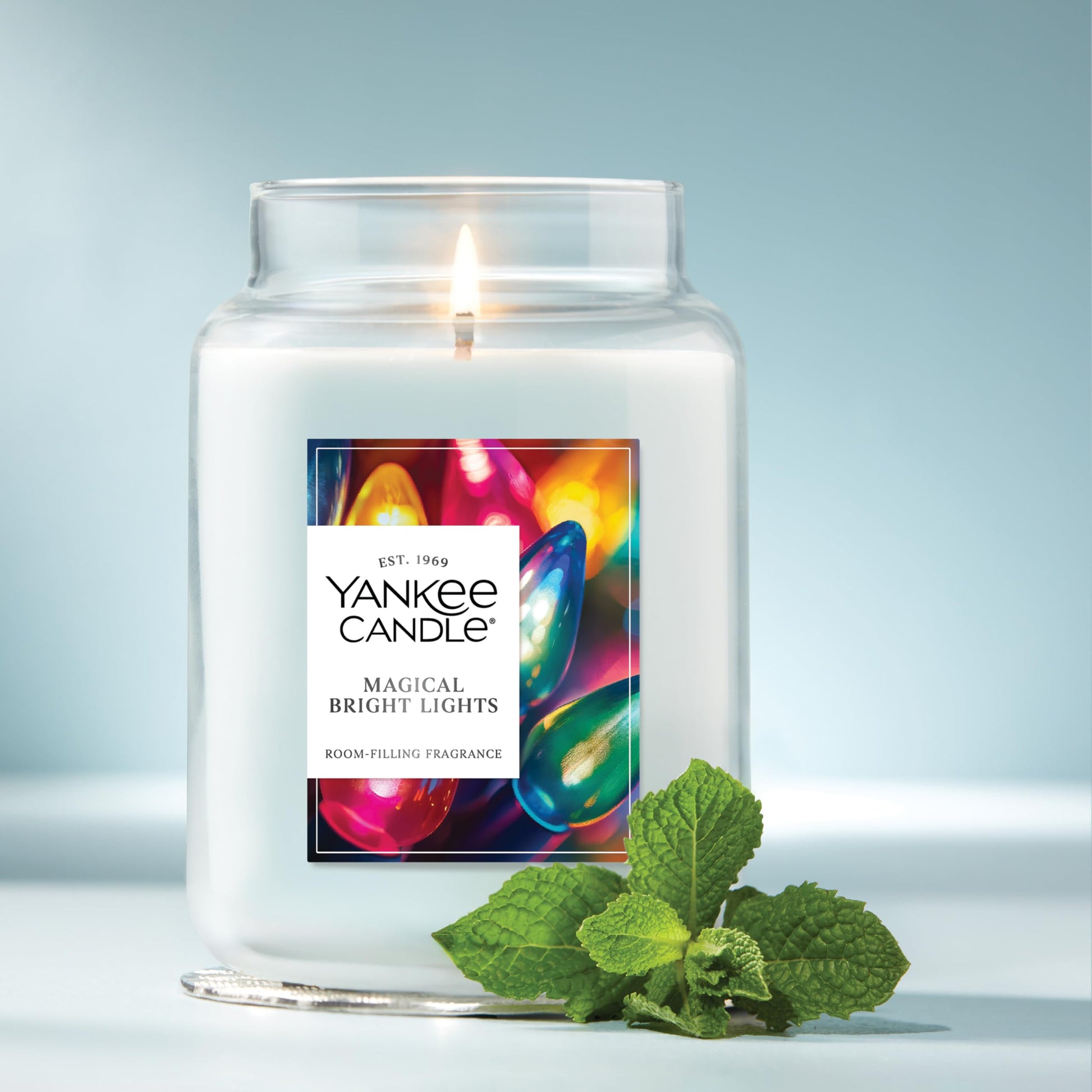 Yankee Candle, Balsam & Cedar Fall Scented Candle, 22oz Large Jar with up to 150 Hour Burn Time jlhbookstore.store