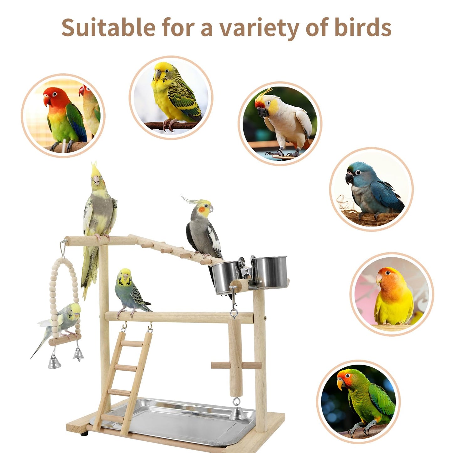 Bird Playground, Parrots Playstand for Small to Medium Birds, Perch Stand with 3 Ladders Playgym with Rope Perch, Swings Feeder Cups Bird Cage Accessories for Conure Cockatiel Lovebirds