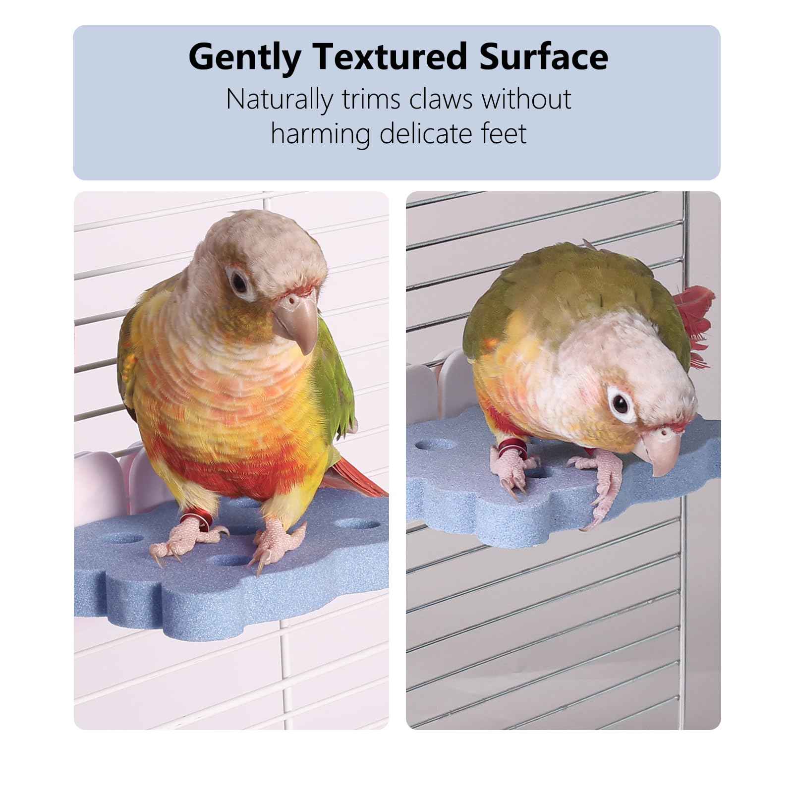 Bird Perch Stand for Parrots – Natural Ceramic Grinding Stick for Beak, A Safe, Non-Shedding Chewing and Claw-Trimming Perch for Parrots (Blue, Medium Size)