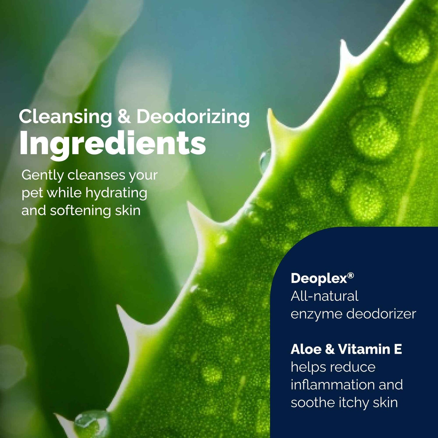 Vetnique Glandex Dog Wipes for Pets Cleansing & Deodorizing Anal Gland Hygienic Dog & Cat Wipes with Vitamin E, Skin Conditioners and Aloe (75ct)