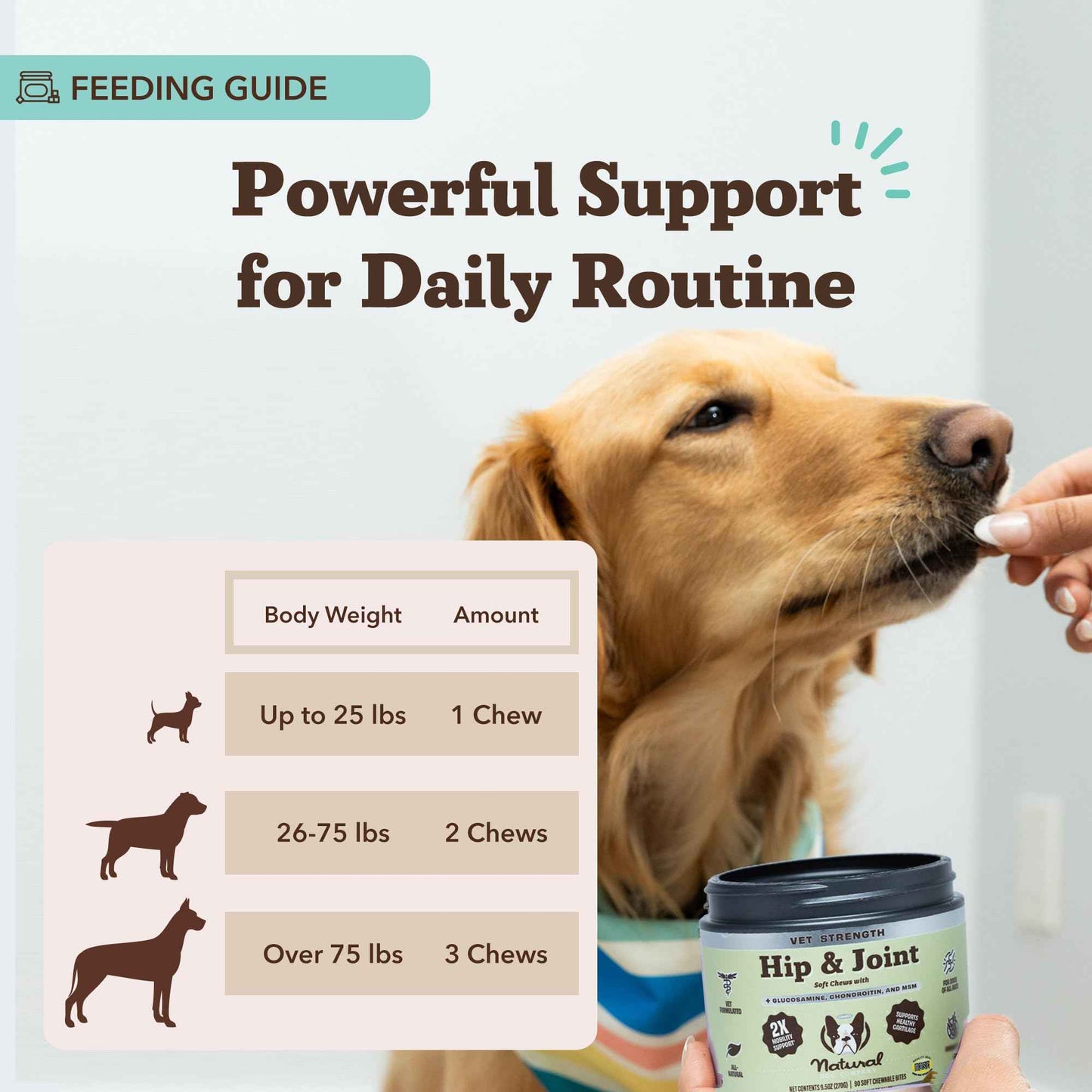 Natural Dog Company Liquid Glucosamine Hip & Joint Oil for Dogs, 16 oz, Extra Strength Cartilage & Joint Support, Helps Mobility and Eases Occasional Stiffness, Dog Vitamins & Supplements