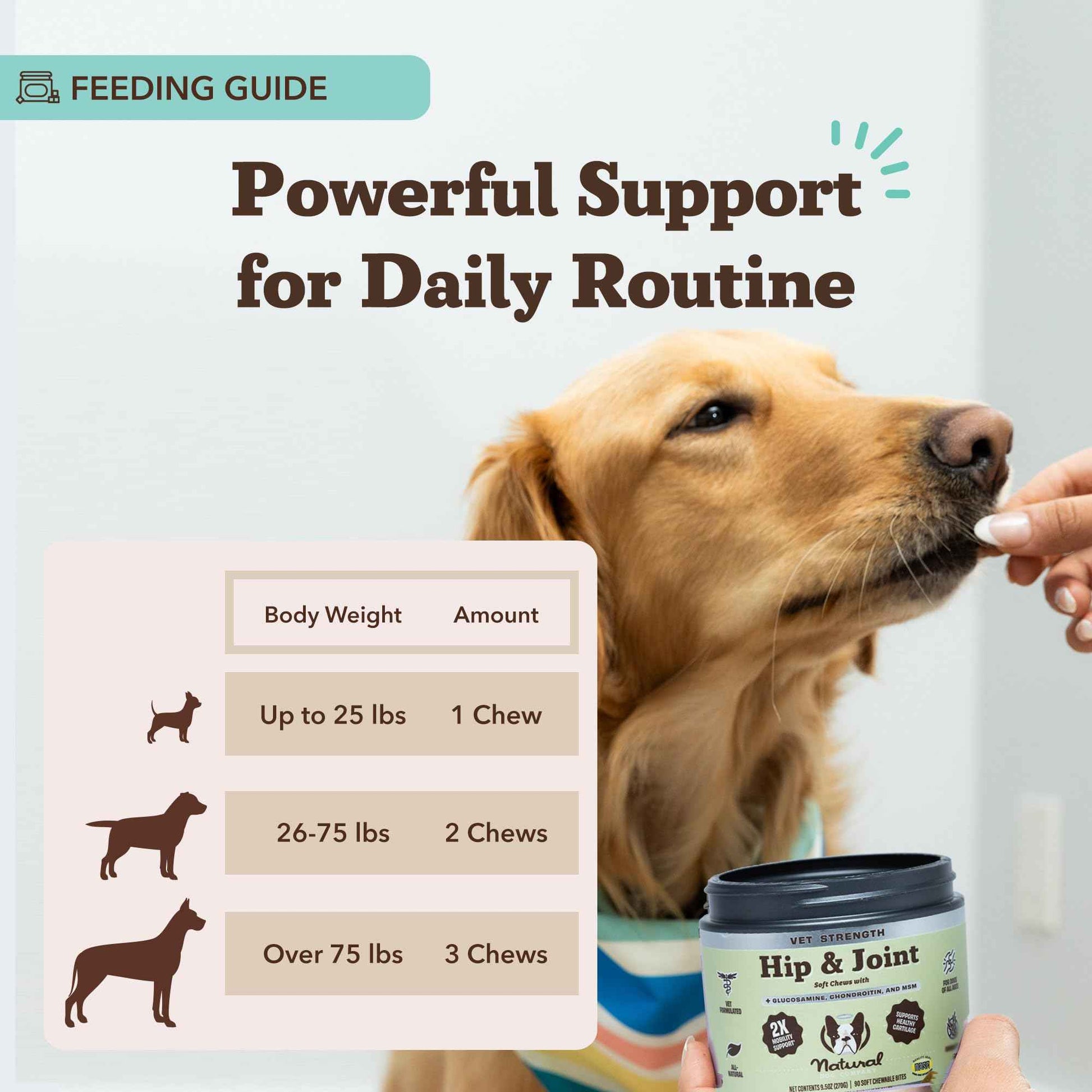 Natural Dog Company Liquid Glucosamine Hip & Joint Oil for Dogs, 16 oz, Extra Strength Cartilage & Joint Support, Helps Mobility and Eases Occasional Stiffness, Dog Vitamins & Supplements