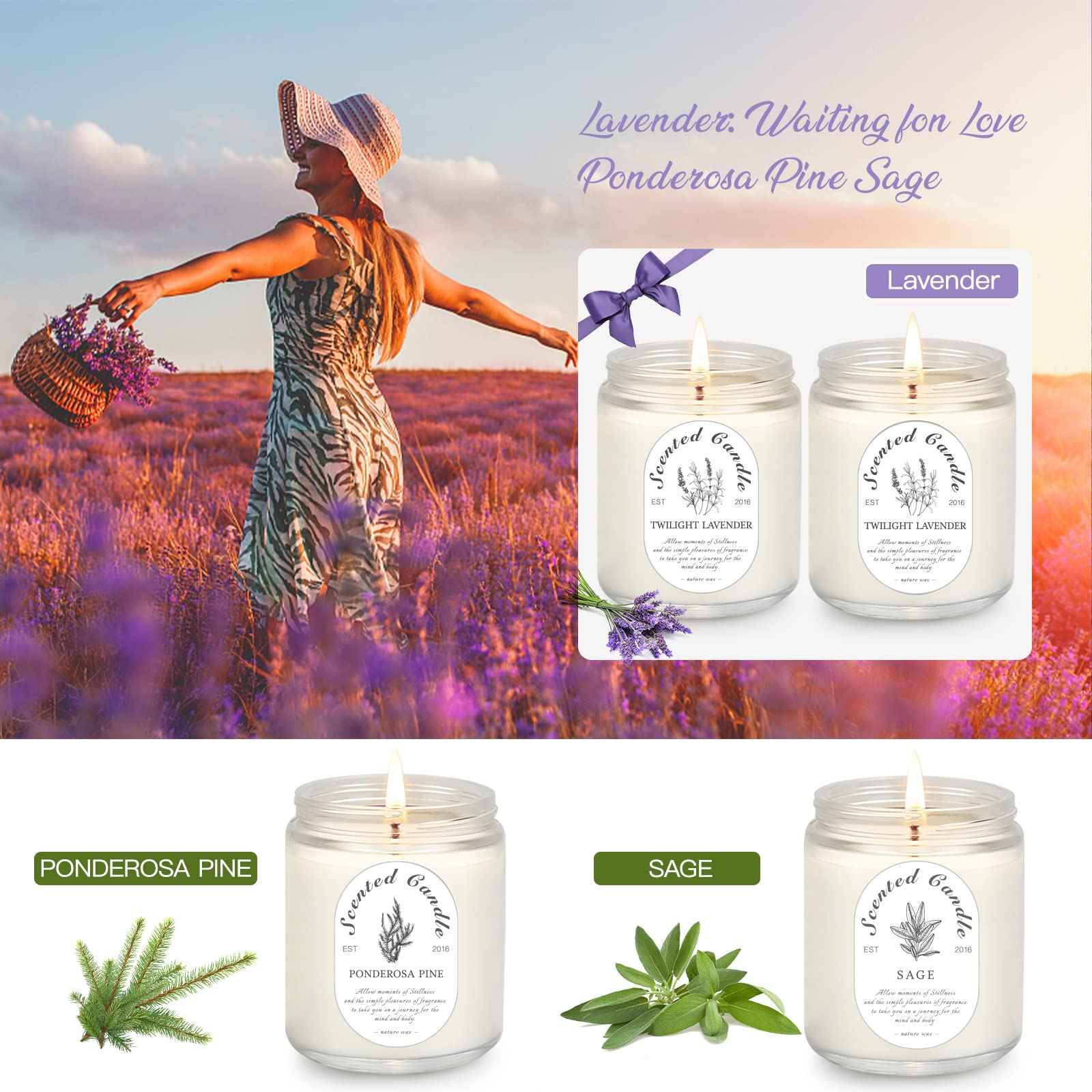 Lavender Candle Gift Set, 4 Pack Soy Wax Scented Candles for Home – Lavender, Sage & Ponderosa Pine – Aromatherapy Candles for Relaxation, Stress Relief & Christmas Gifts for Women
