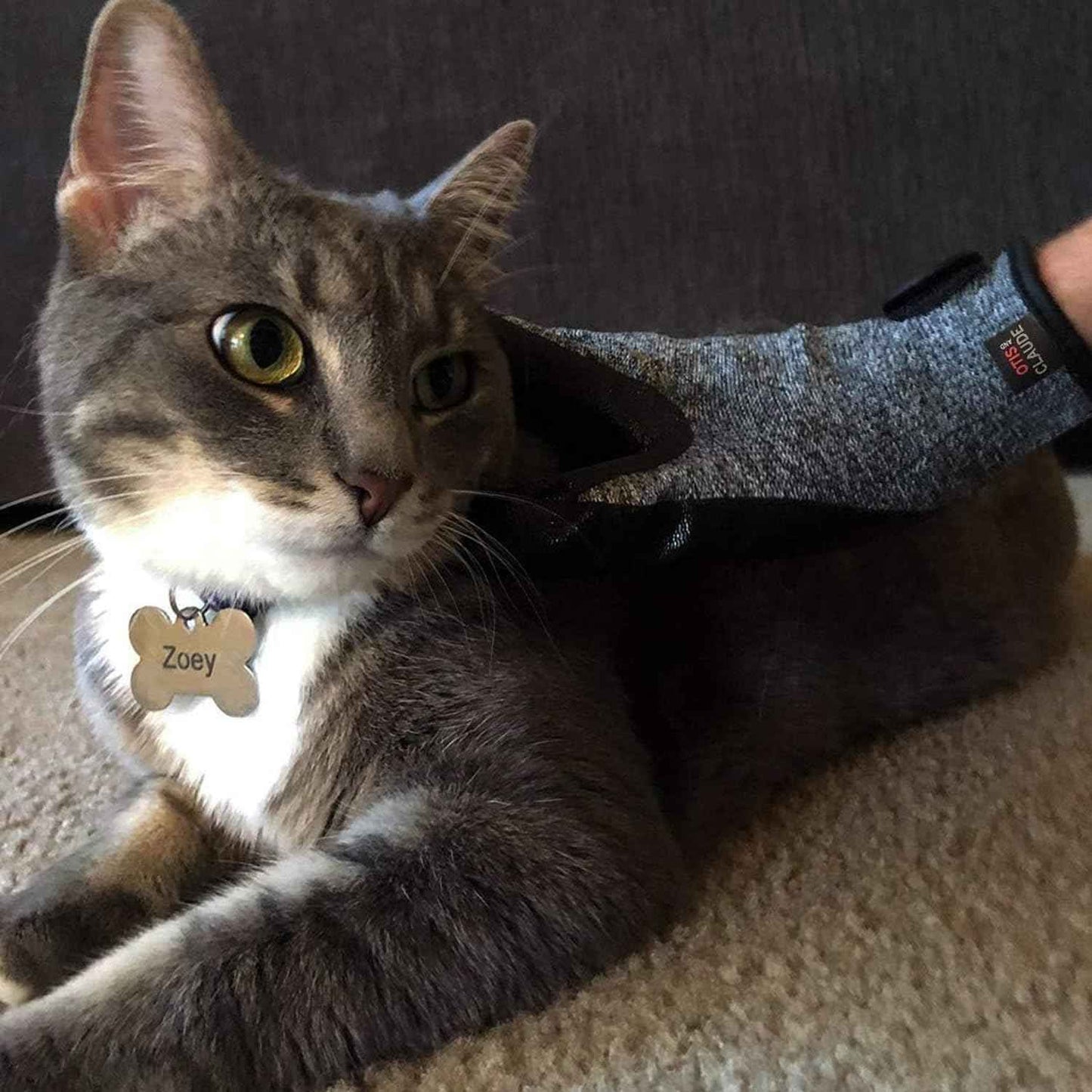 Otis and Claude Pet Grooming Gloves with Adjustable Strap - Gentle and Comfortable Hair Remover, Bathing, Massage, Brush - Left & Right - for Cats, Dogs & Horses