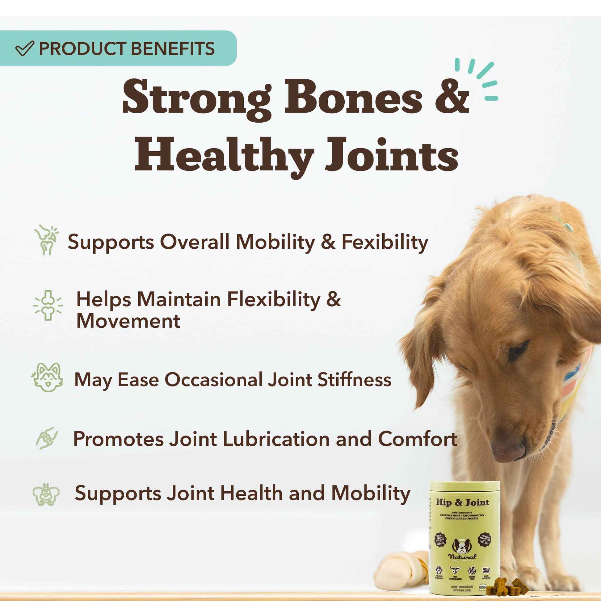 Natural Dog Company Liquid Glucosamine Hip & Joint Oil for Dogs, 16 oz, Extra Strength Cartilage & Joint Support, Helps Mobility and Eases Occasional Stiffness, Dog Vitamins & Supplements