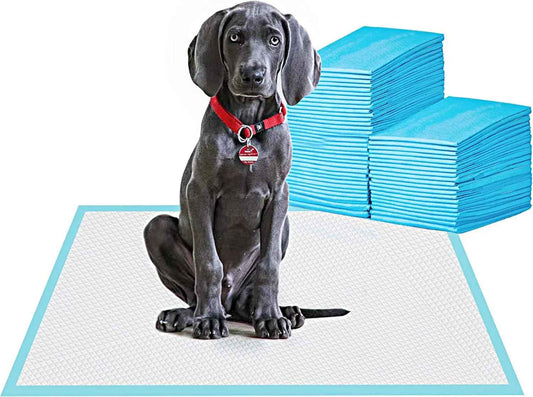 Large Pet Training and Puppy Pads Pee Pad for Dogs 24"x24"-80 Count Super Absorbent & Leak-Proof