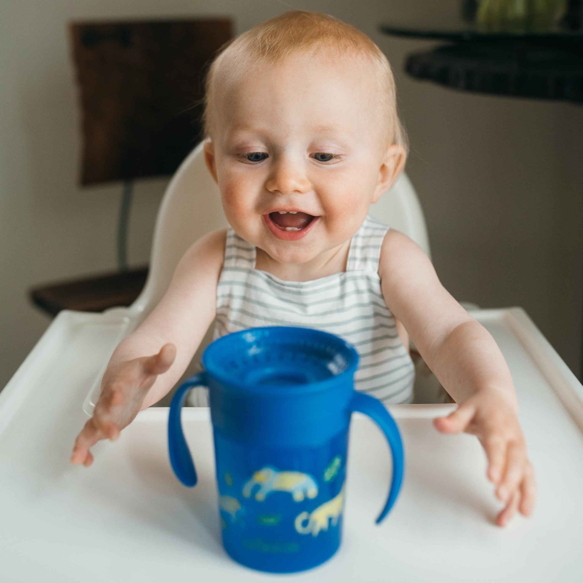 Dr. Brown's Polypropylene (PP) Milestones Cheers 360 Sippy Training Cups for Babies and Toddlers - Blue/Green - 10oz - 2-Pack - 9m+