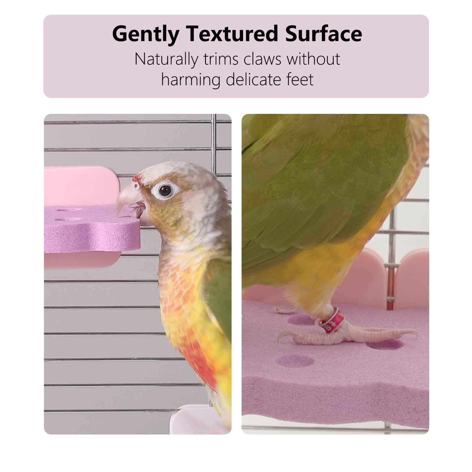 Bird Perch Stand for Parrots – Natural Ceramic Grinding Stick for Beak, A Safe, Non-Shedding Chewing and Claw-Trimming Perch for Parrots (Blue, Medium Size)