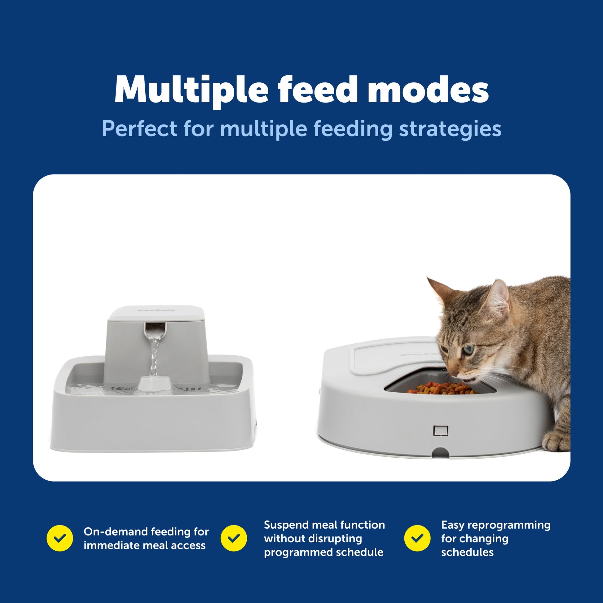 PetSafe Automatic Dog Feeder, 5 Meals, 40 oz Capacity, Plastic, for Dry Food, Multiple Pets jlhbookstore.store
