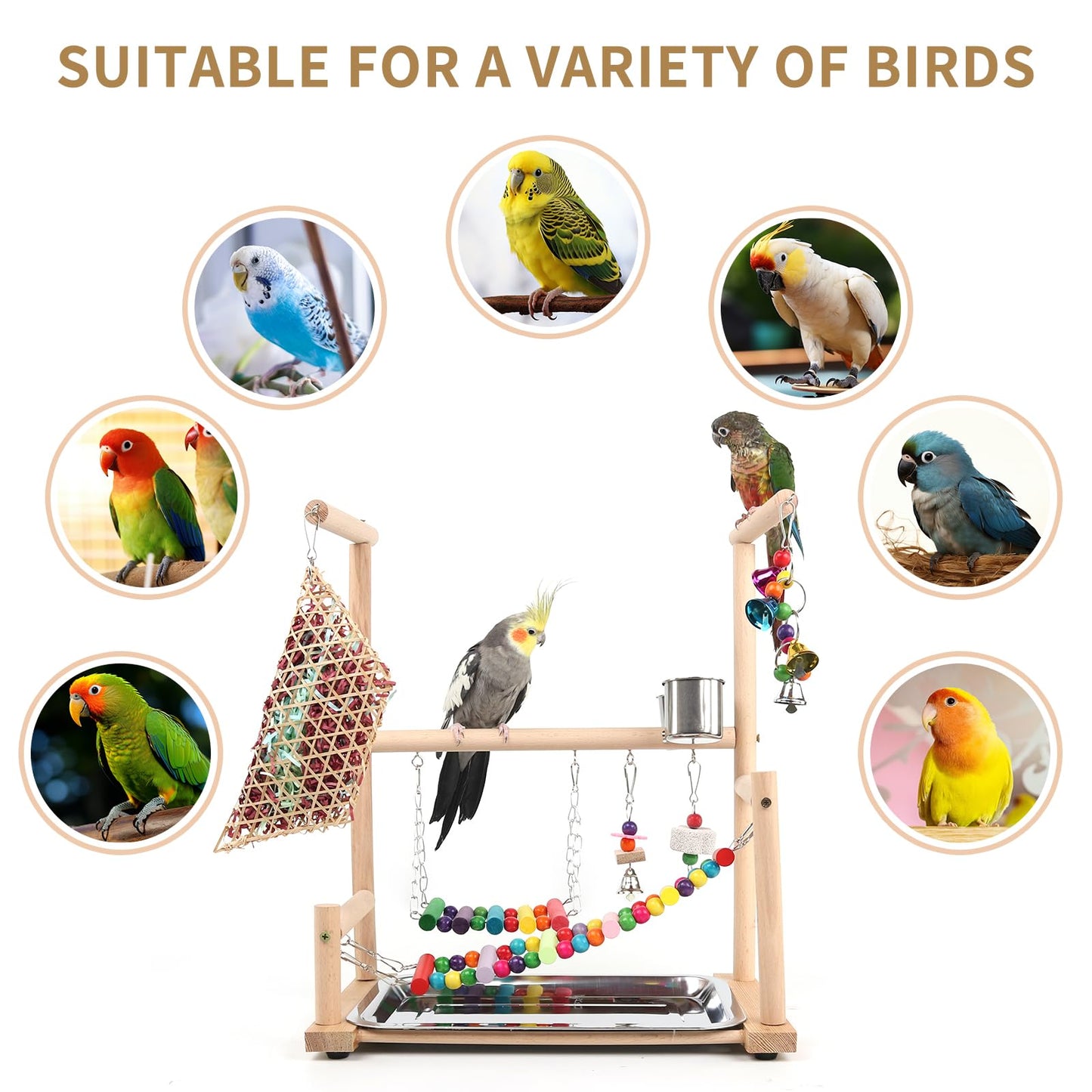 Bird Playground, Parrots Playstand for Small to Medium Birds, Perch Stand with 3 Ladders Playgym with Rope Perch, Swings Feeder Cups Bird Cage Accessories for Conure Cockatiel Lovebirds