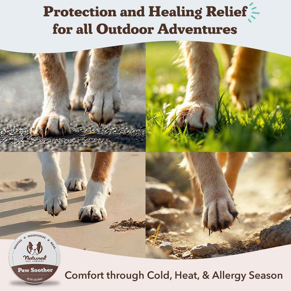 Natural Dog Company Paw Soother Balm & Wax 2 oz Stick – Nourishing Paw Care with Coconut & Hempseed Oils + Calendula – Soothes Dry, Cracked Pads – Lick-Safe & Weather Protective