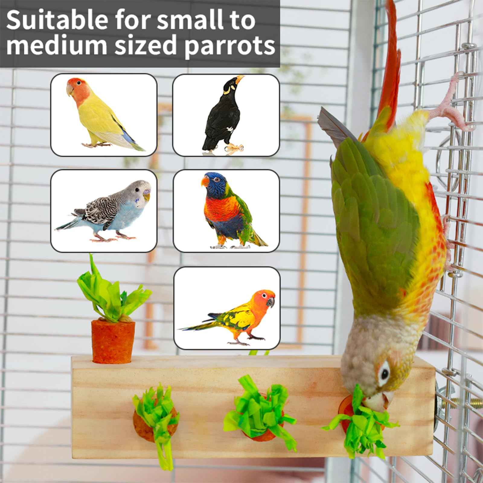 Bird toys & Bird Perch, Bird Wooden Block Chewing Toy Parrot Foraging & Puzzle Toys Bird Cage Accessories for Conures Parakeets Cockatiels Lovebirds African Grey Macaws (Revolving Christmas Tree)