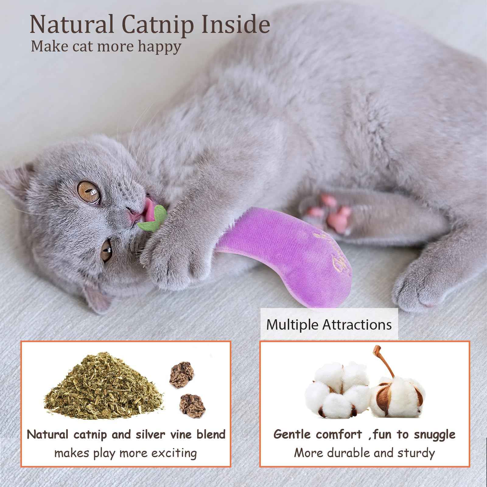 Catnip Cat Toys, Safe Teeth Cleaning Cat Nip Toys for Indoor Kitten Kitty,Interactive Plush Cat Chew Kicker Toys, 5 Pack, Vegetable Shape