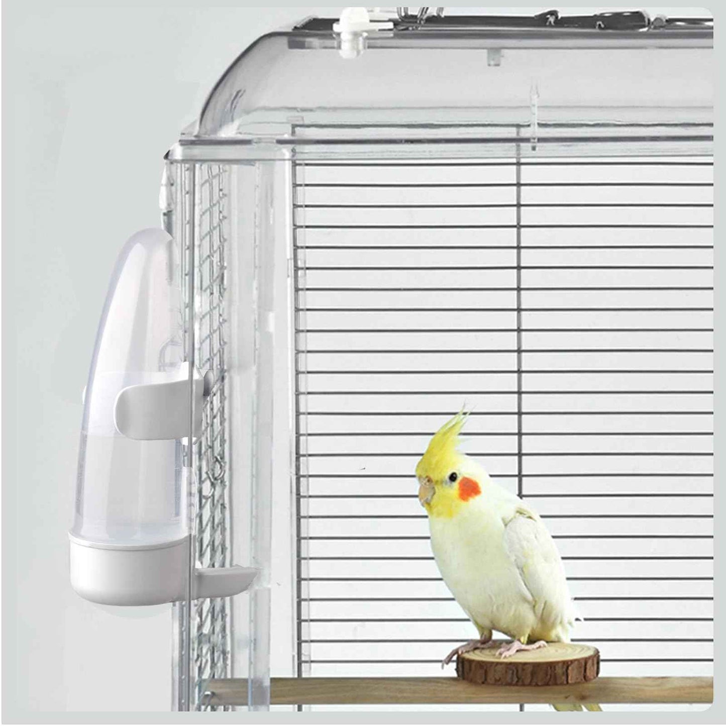 Bird Feeder Automatic Bird Water Dispenser Set for Cage No Mess Parakeet Cage Water Dispenser PP Material, 200ml/6.8fl oz (2PCS)