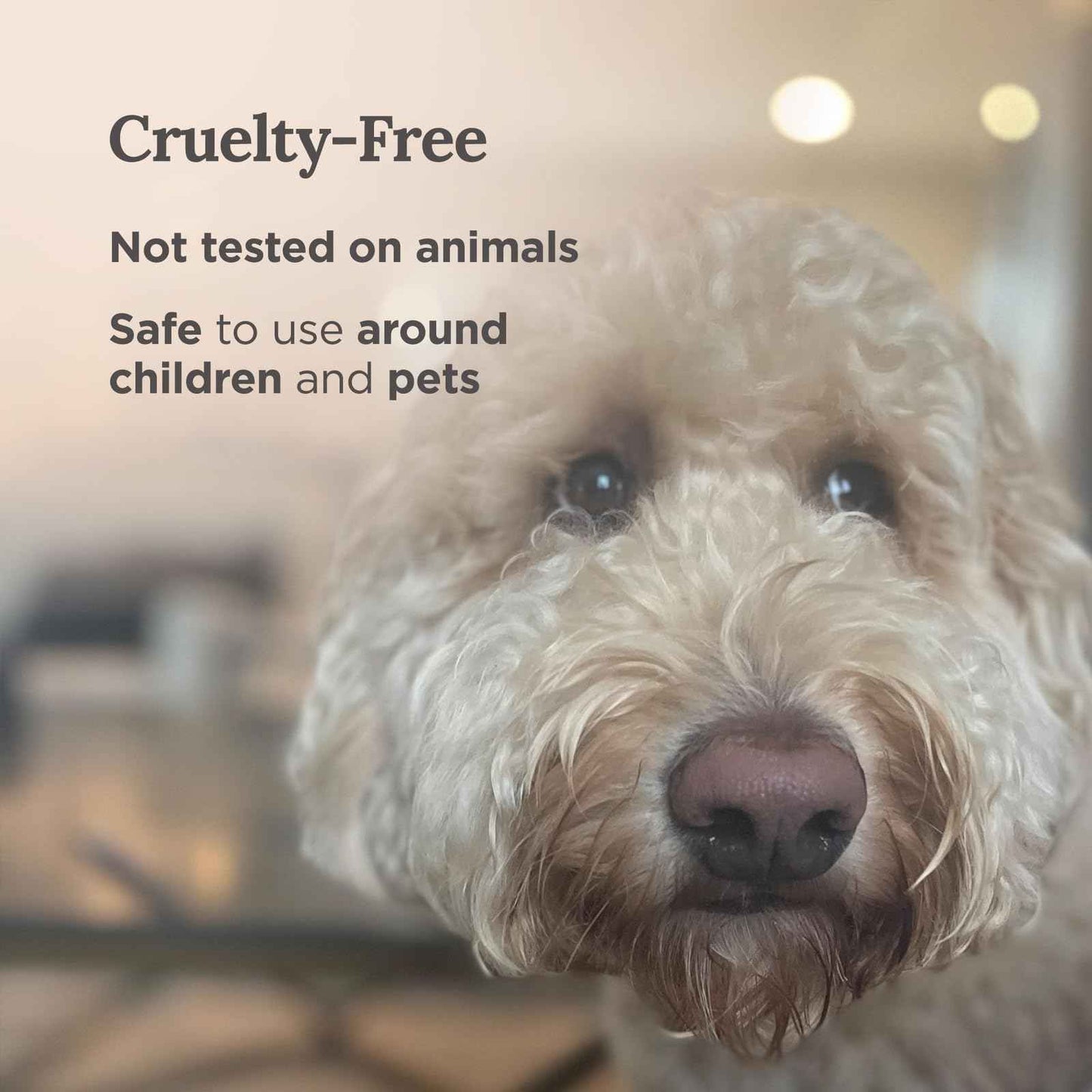 Magnificent 101 Set of 3 Long Lasting Pure Sage Smudge Candles - 42 Hour Burn, 3.5 Oz Each, Made with Soy Wax and Herb, Ideal for House Energy Cleansing, Meditation & Manifestation