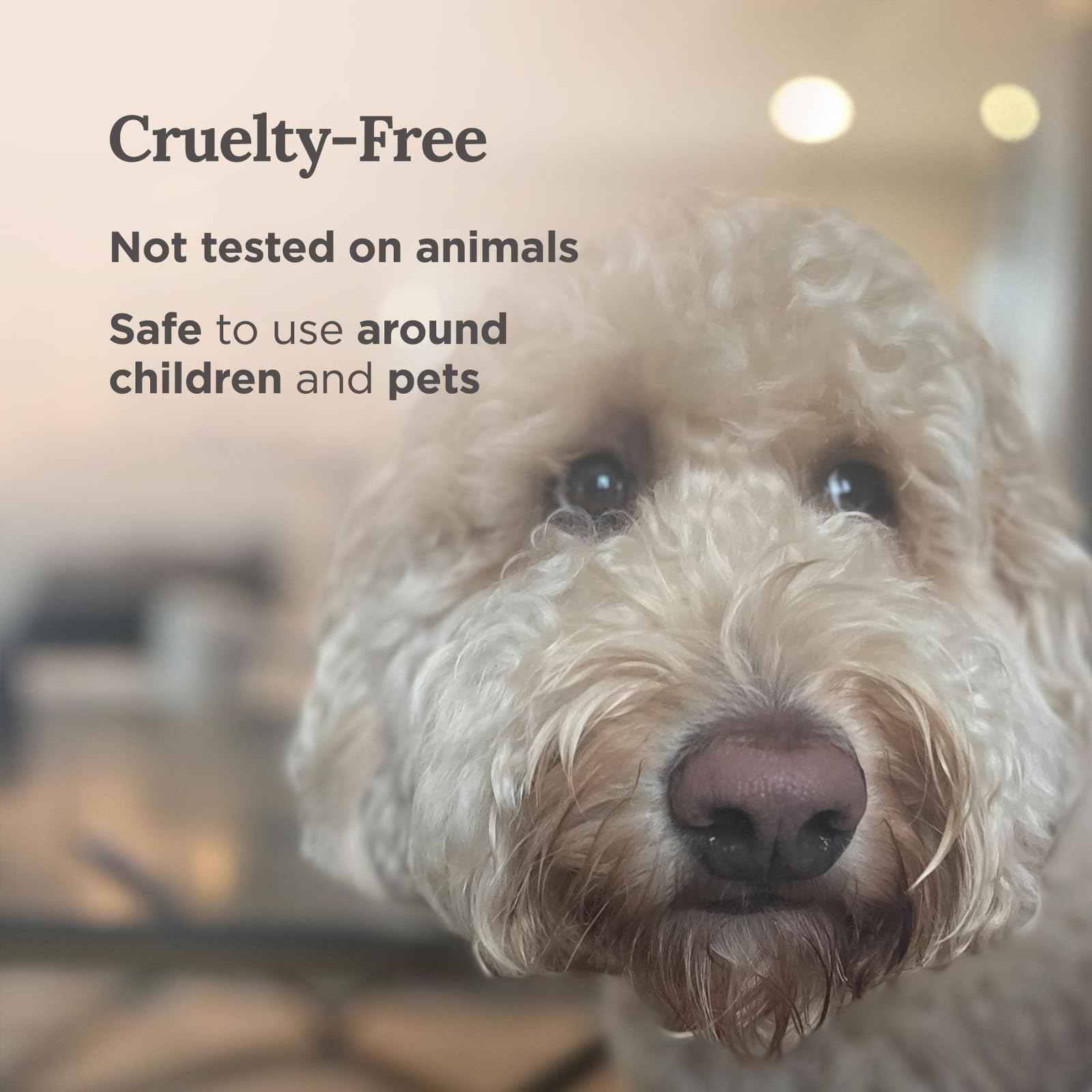 Magnificent 101 Set of 3 Long Lasting Pure Sage Smudge Candles - 42 Hour Burn, 3.5 Oz Each, Made with Soy Wax and Herb, Ideal for House Energy Cleansing, Meditation & Manifestation