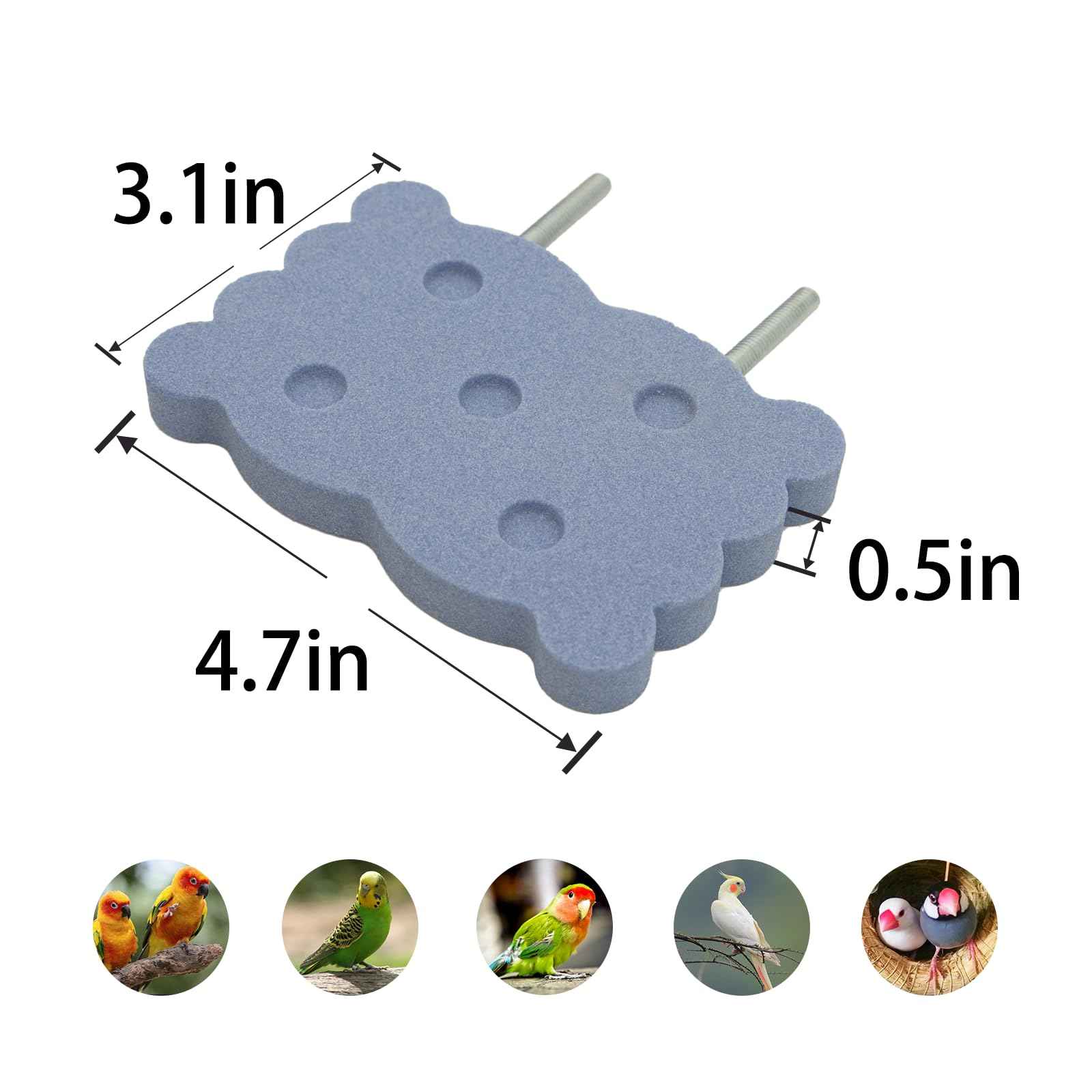 Bird Perch Stand for Parrots – Natural Ceramic Grinding Stick for Beak, A Safe, Non-Shedding Chewing and Claw-Trimming Perch for Parrots (Blue, Medium Size)