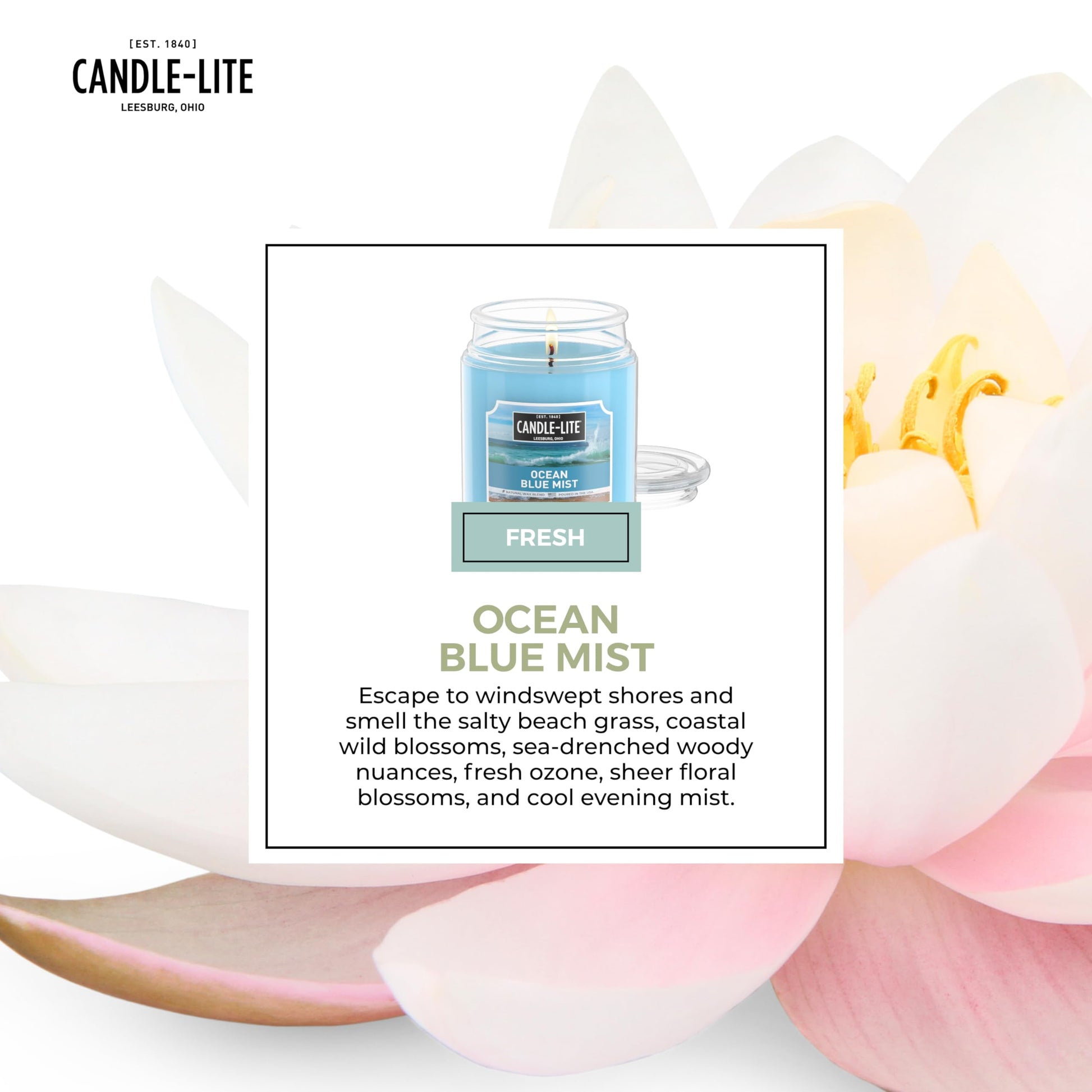 Candle-lite Fall Scented Candles, Creamy Vanilla Swirl, 18 oz Jar, Proudly Poured in The USA, Aromatherapy Candle, Single-Wick with 110 Hours of Burn Time, Perfect for Creating a Relaxing Ambiance jlhbookstore.store