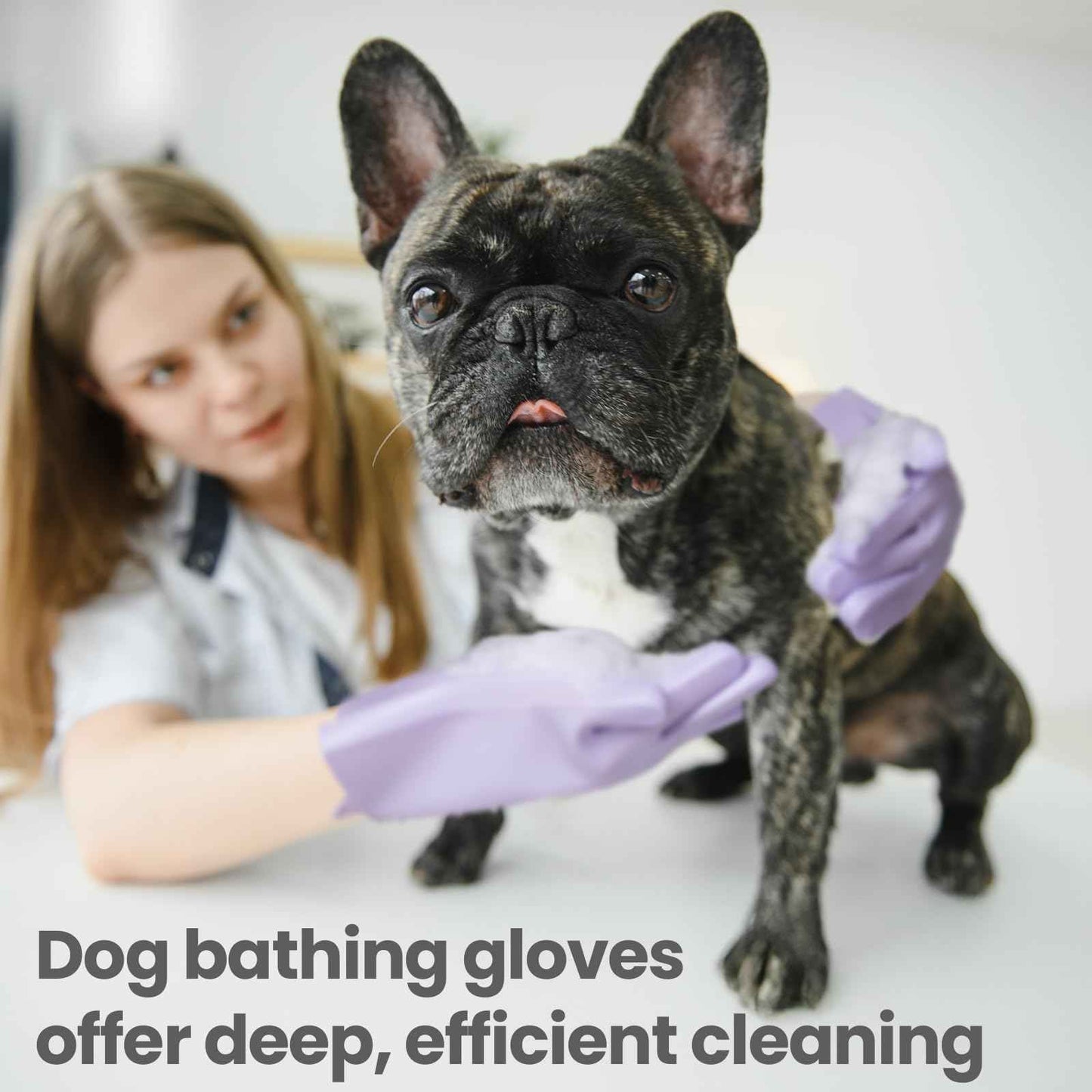 DELOMO Dog Washing Gloves 1 Pair: Soft and Gentle Silicone Pet Grooming Gloves - Bathing Scrubber Brush Mitt Grooming Shedding Fur Removal Massage for Dogs/Cats/Horse, Purple