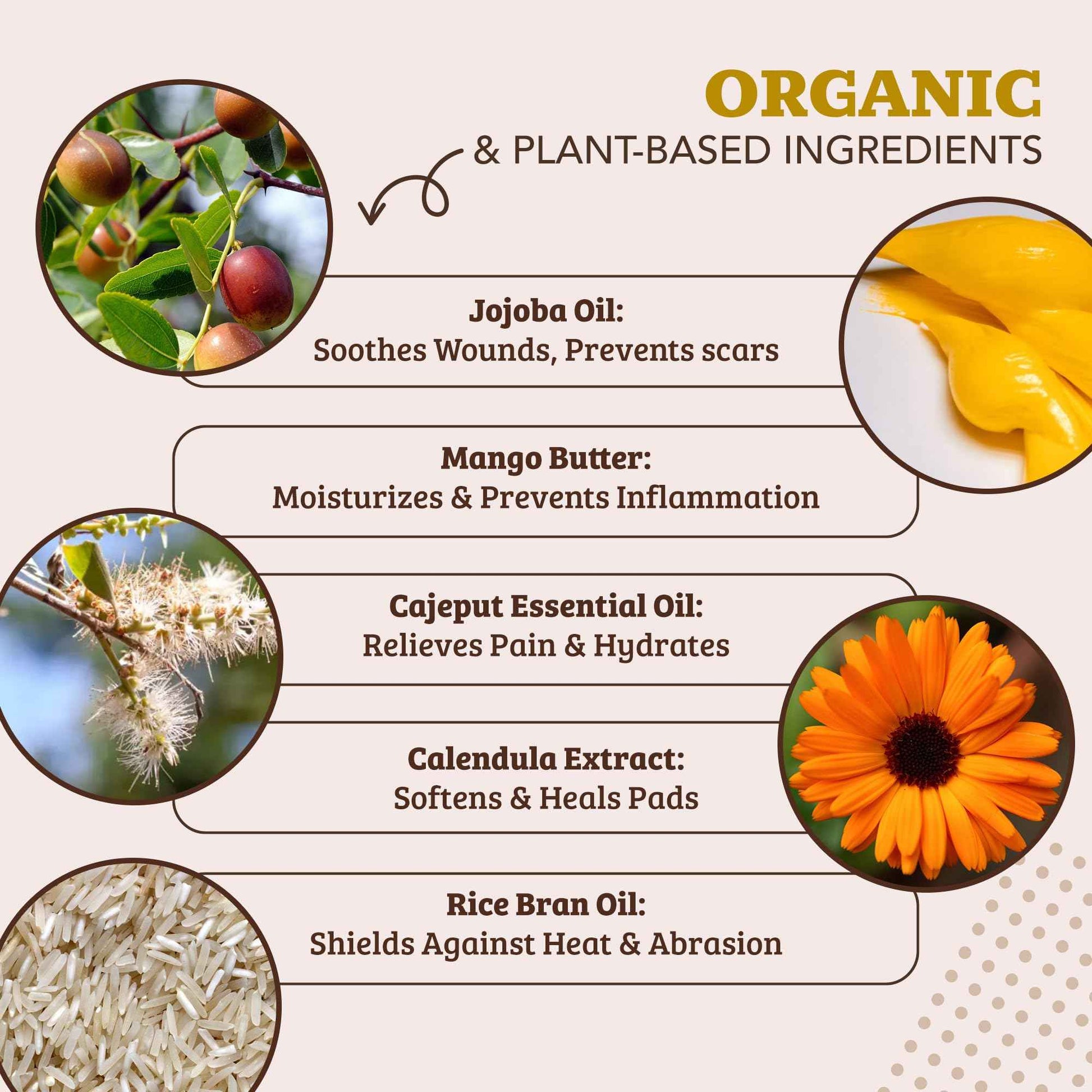 Natural Dog Company Paw Soother Balm & Wax 2 oz Stick – Nourishing Paw Care with Coconut & Hempseed Oils + Calendula – Soothes Dry, Cracked Pads – Lick-Safe & Weather Protective