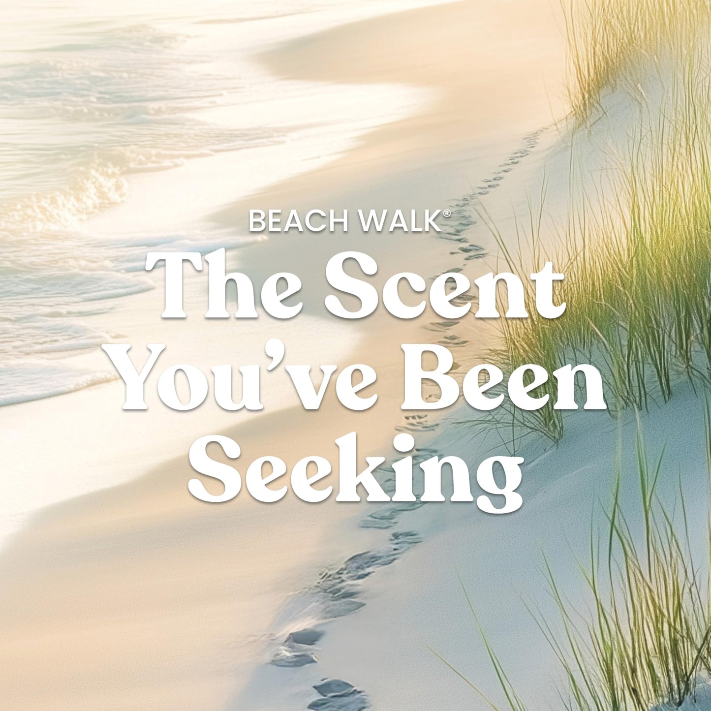 Yankee Candle Mid Summer's Night Scented Candle, 22oz Large Jar with up to 150 Hour Burn, Giftable jlhbookstore.store