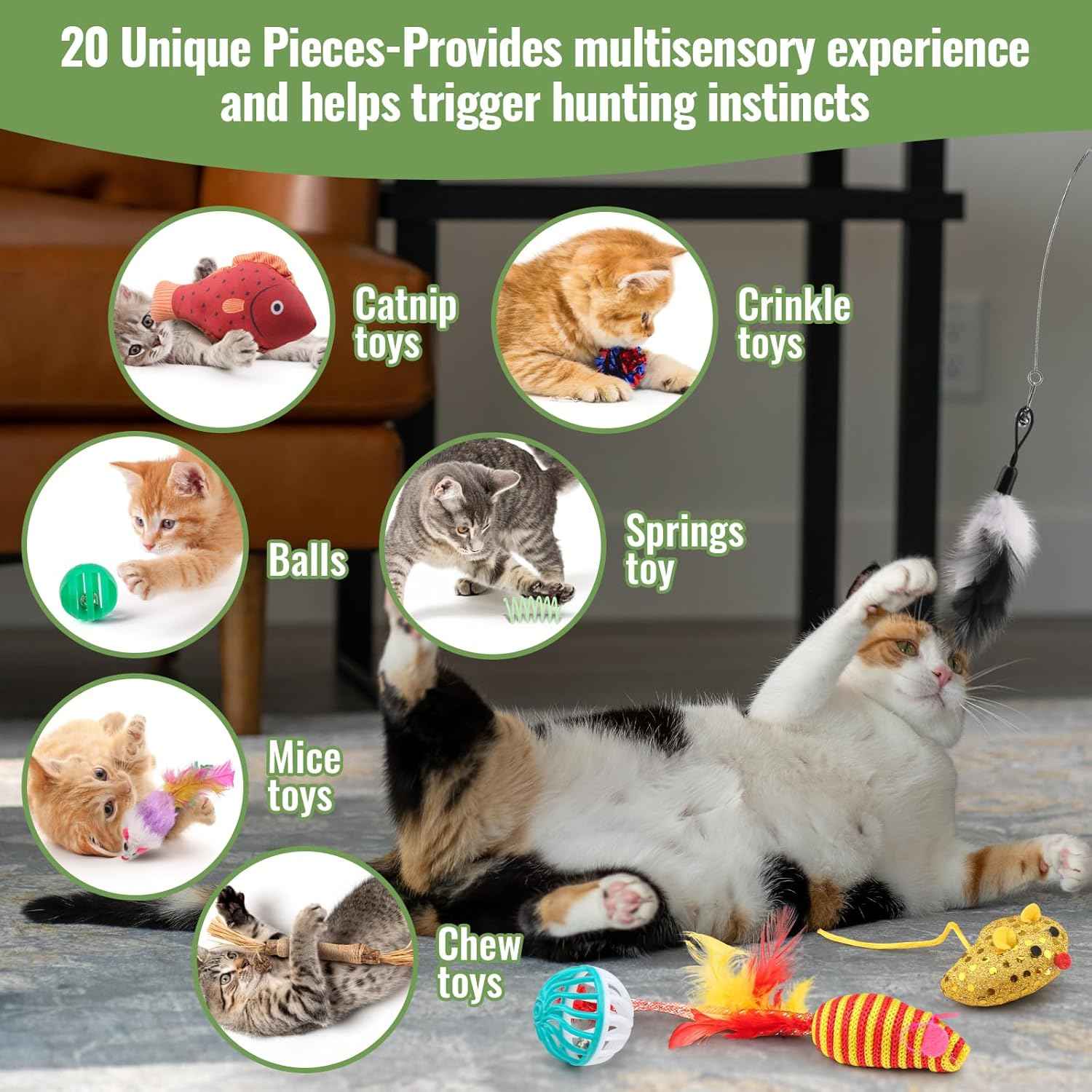 Fashion's Talk Cat Toys Variety Pack for Kitty 20 Pieces