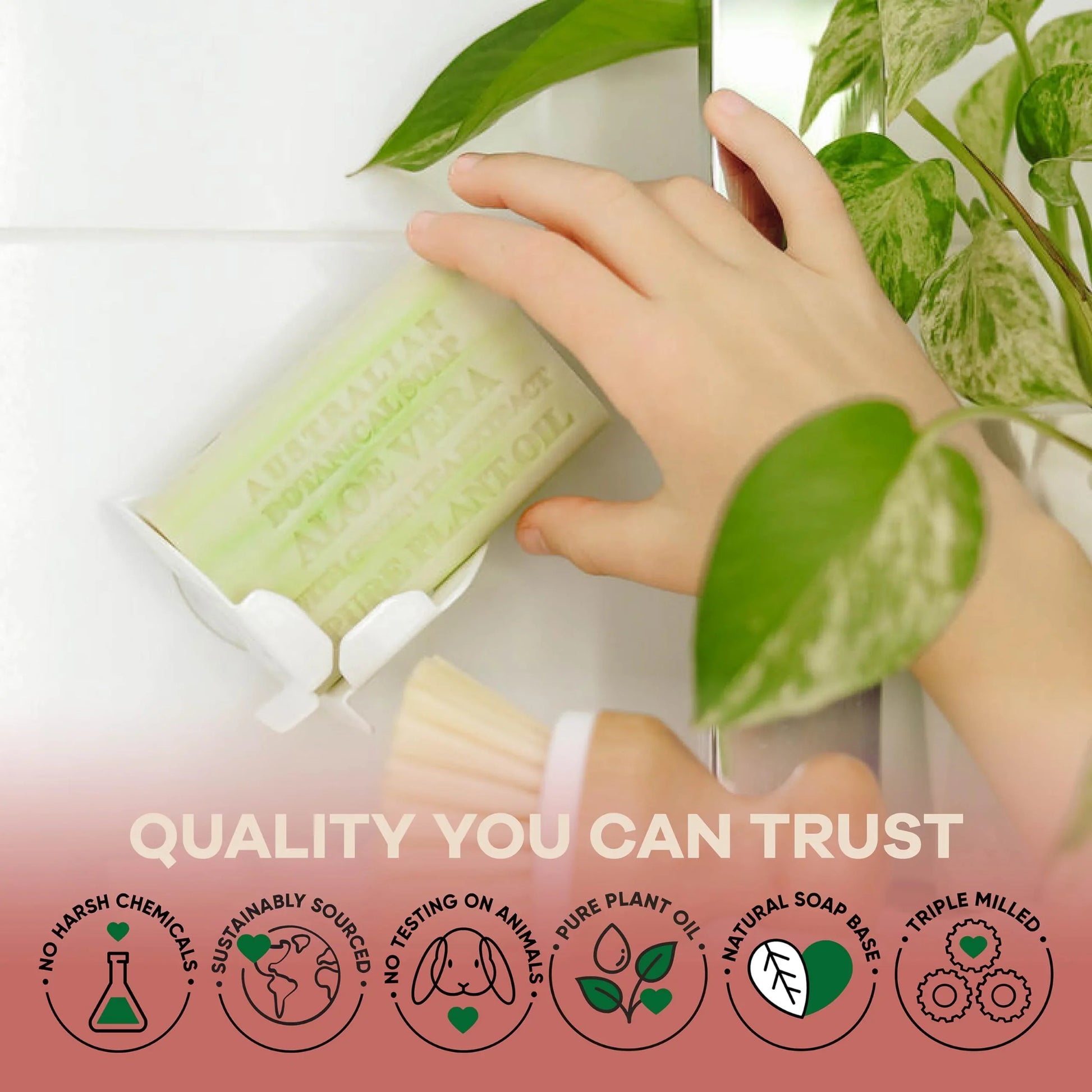 Australian Botanical Soap, 6.6 OZ, Triple Milled Bars with Pure Plant Oil, Natural Soap Base, Enriched with Organic Shea Butter, for Men, Women, All Skin Types, Variety Pack of 8, Packaging May Vary - Jlhbookstore.store