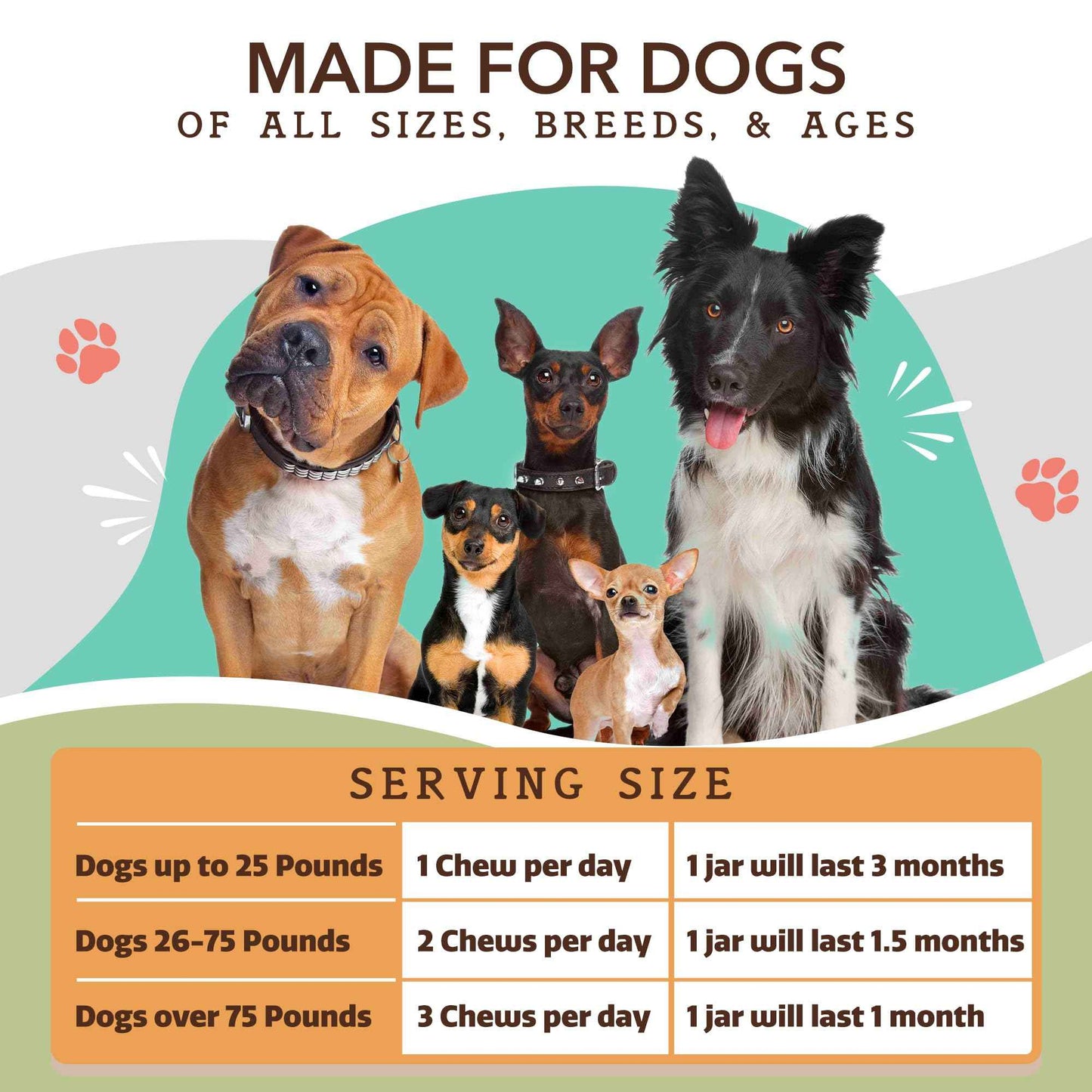 Natural Dog Company Liquid Glucosamine Hip & Joint Oil for Dogs, 16 oz, Extra Strength Cartilage & Joint Support, Helps Mobility and Eases Occasional Stiffness, Dog Vitamins & Supplements