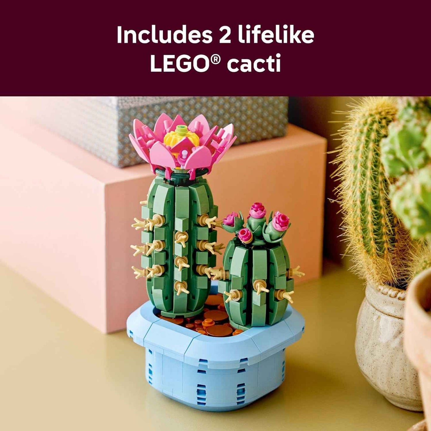 LEGO Botanicals Flowering Cactus Building Toy - Crafting Kit for Girls & Boys, Ages 9+ - Cactus Room Decor for Display for Bedroom or Book Shelf - Gift Idea for Birthdays - 11509