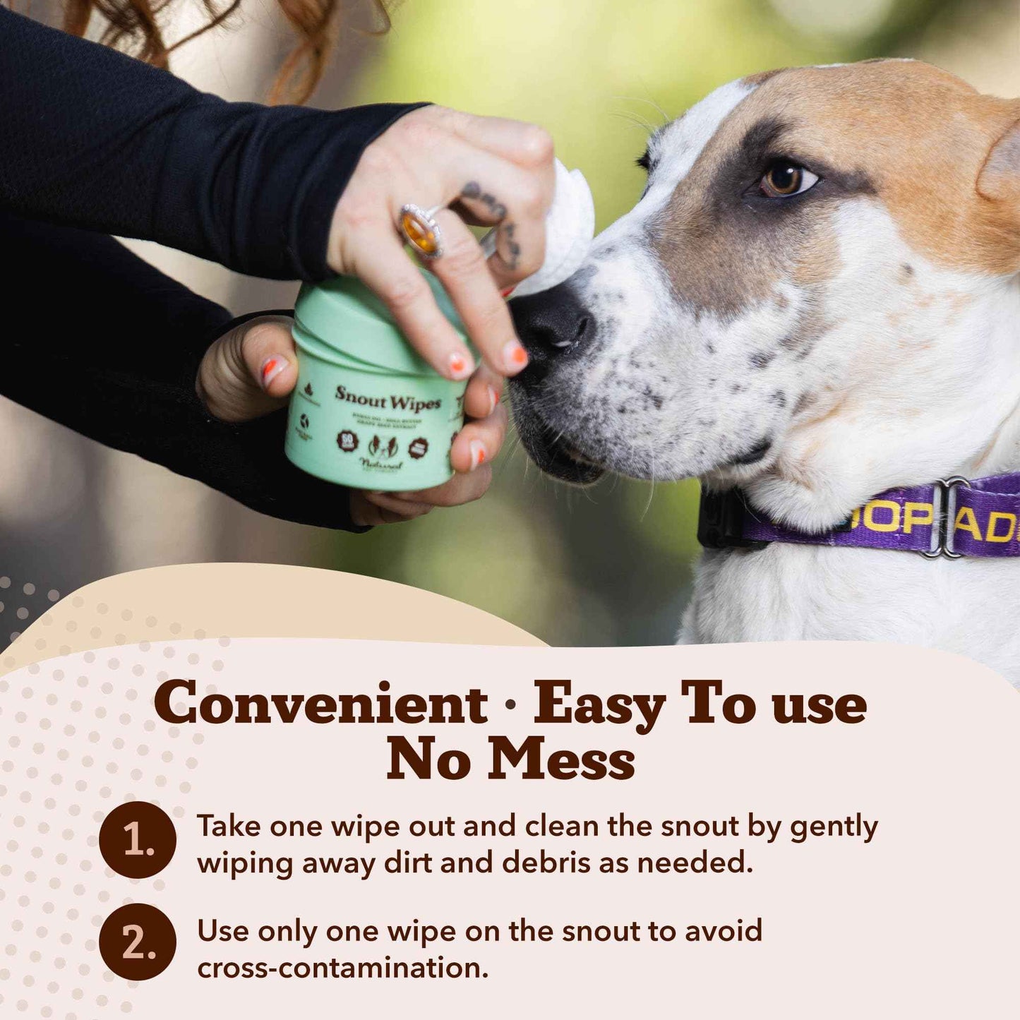 Natural Dog Company Wrinkle Wipes for Dogs, 100 Count, Hypoallergenic Dog Wipes, Wrinkle Wipes French Bulldog, Cleaning & Deodorizing, Dog Wipes for Grooming Faces, Paws & Butts