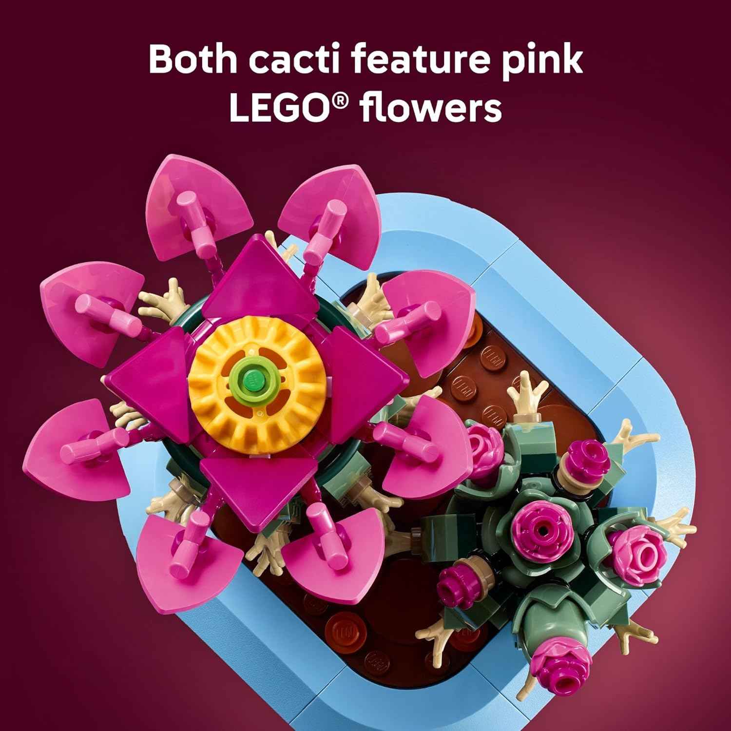LEGO Botanicals Flowering Cactus Building Toy - Crafting Kit for Girls & Boys, Ages 9+ - Cactus Room Decor for Display for Bedroom or Book Shelf - Gift Idea for Birthdays - 11509