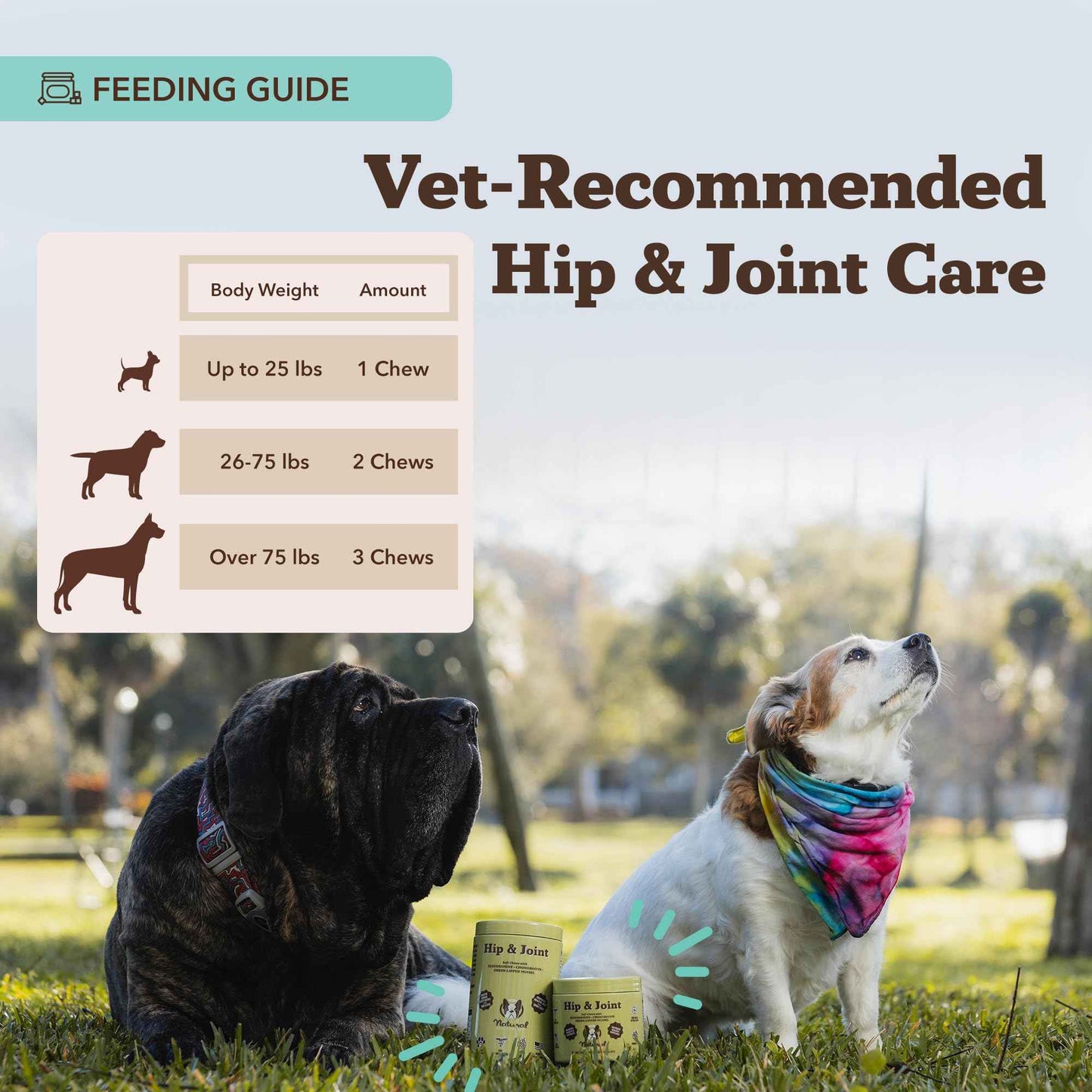 Natural Dog Company Liquid Glucosamine Hip & Joint Oil for Dogs, 16 oz, Extra Strength Cartilage & Joint Support, Helps Mobility and Eases Occasional Stiffness, Dog Vitamins & Supplements