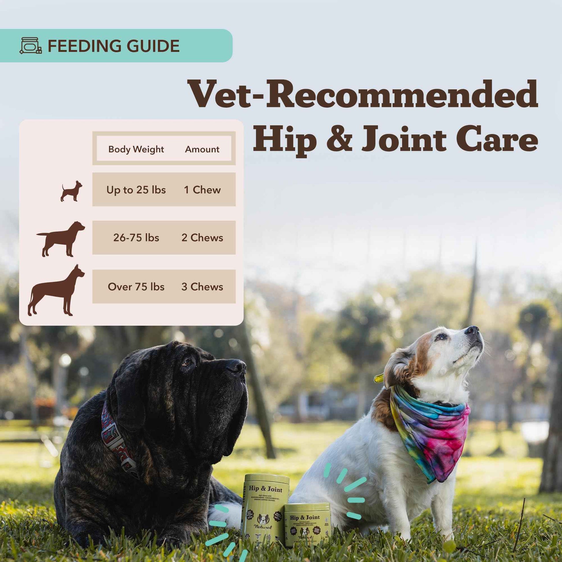 Natural Dog Company Liquid Glucosamine Hip & Joint Oil for Dogs, 16 oz, Extra Strength Cartilage & Joint Support, Helps Mobility and Eases Occasional Stiffness, Dog Vitamins & Supplements