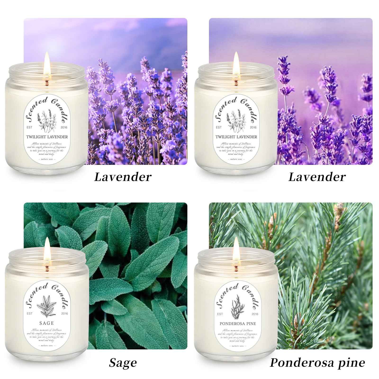 Lavender Candle Gift Set, 4 Pack Soy Wax Scented Candles for Home – Lavender, Sage & Ponderosa Pine – Aromatherapy Candles for Relaxation, Stress Relief & Christmas Gifts for Women
