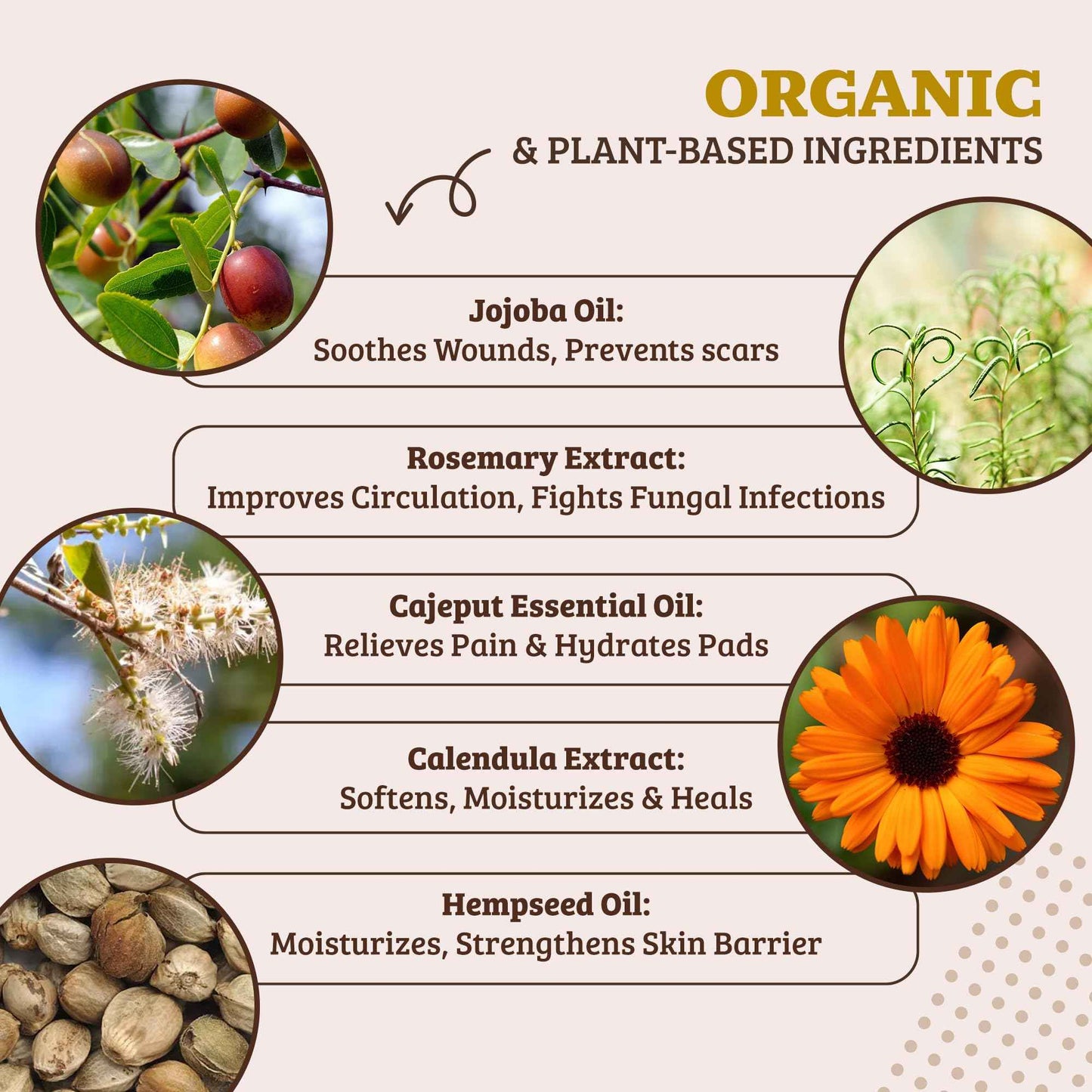 Natural Dog Company Paw Soother Balm & Wax 2 oz Stick – Nourishing Paw Care with Coconut & Hempseed Oils + Calendula – Soothes Dry, Cracked Pads – Lick-Safe & Weather Protective