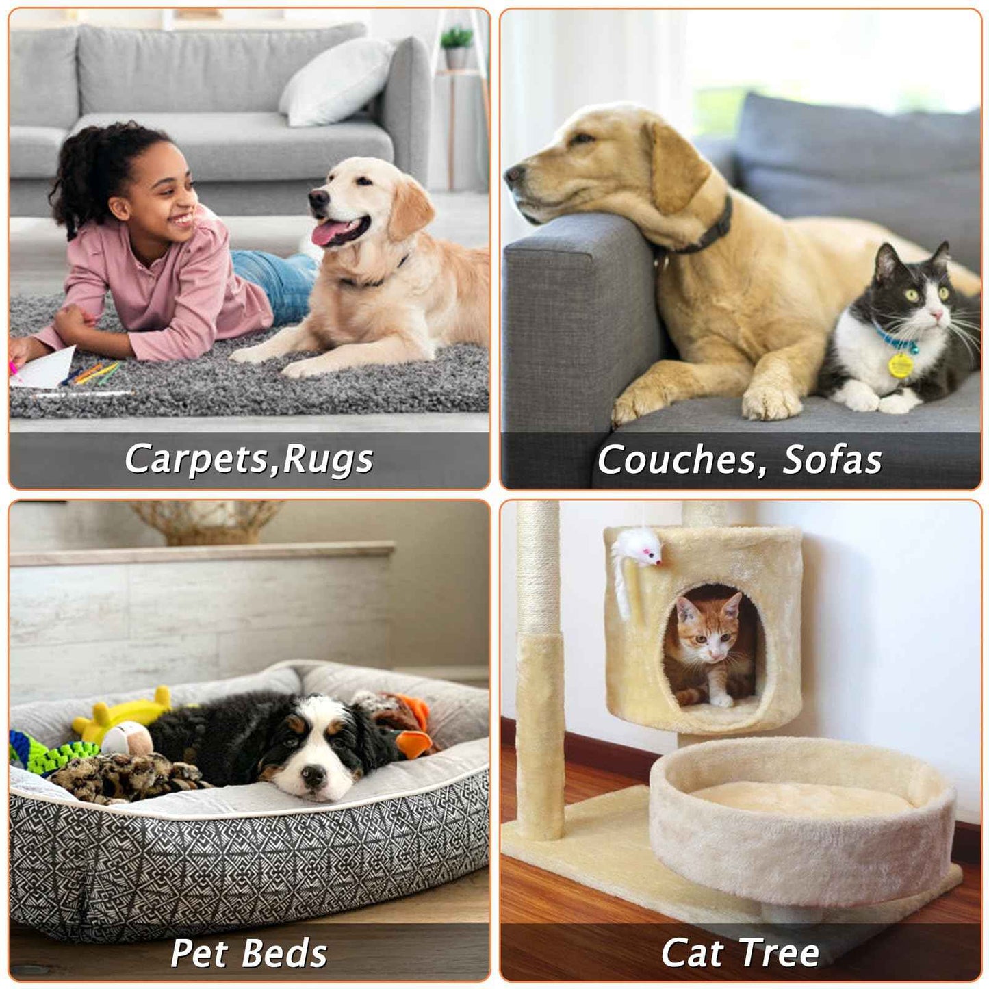 Carpet Rake for Pet Hair Removal - Reusable Pet Hair Remover, 60” Adjustable Long Handle Cat Dog Carpet Rake Scraper with Patented Design, Dog Hair Rake Brush for Rugs, Mats