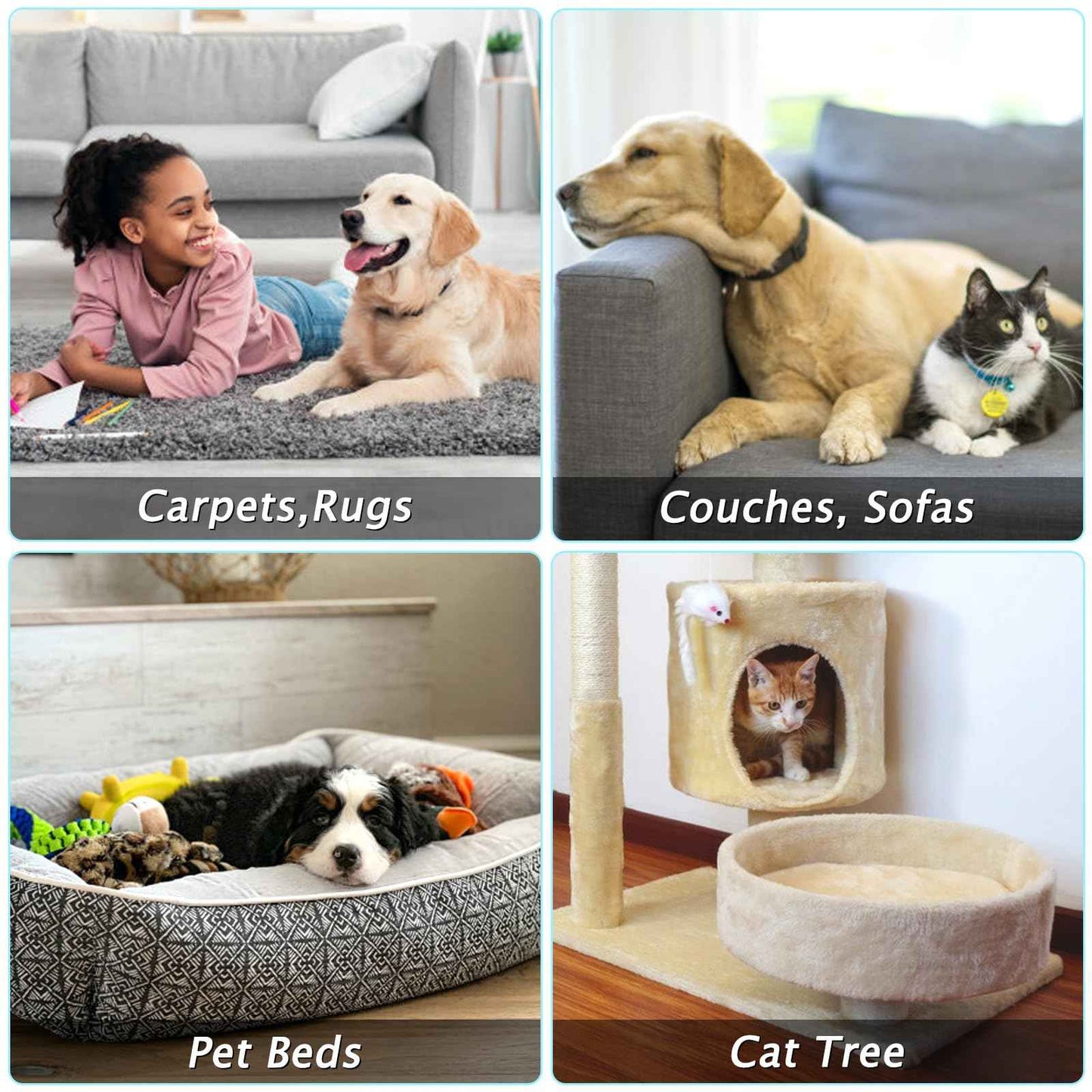 Carpet Rake for Pet Hair Removal - Reusable Pet Hair Remover, 60” Adjustable Long Handle Cat Dog Carpet Rake Scraper with Patented Design, Dog Hair Rake Brush for Rugs, Mats