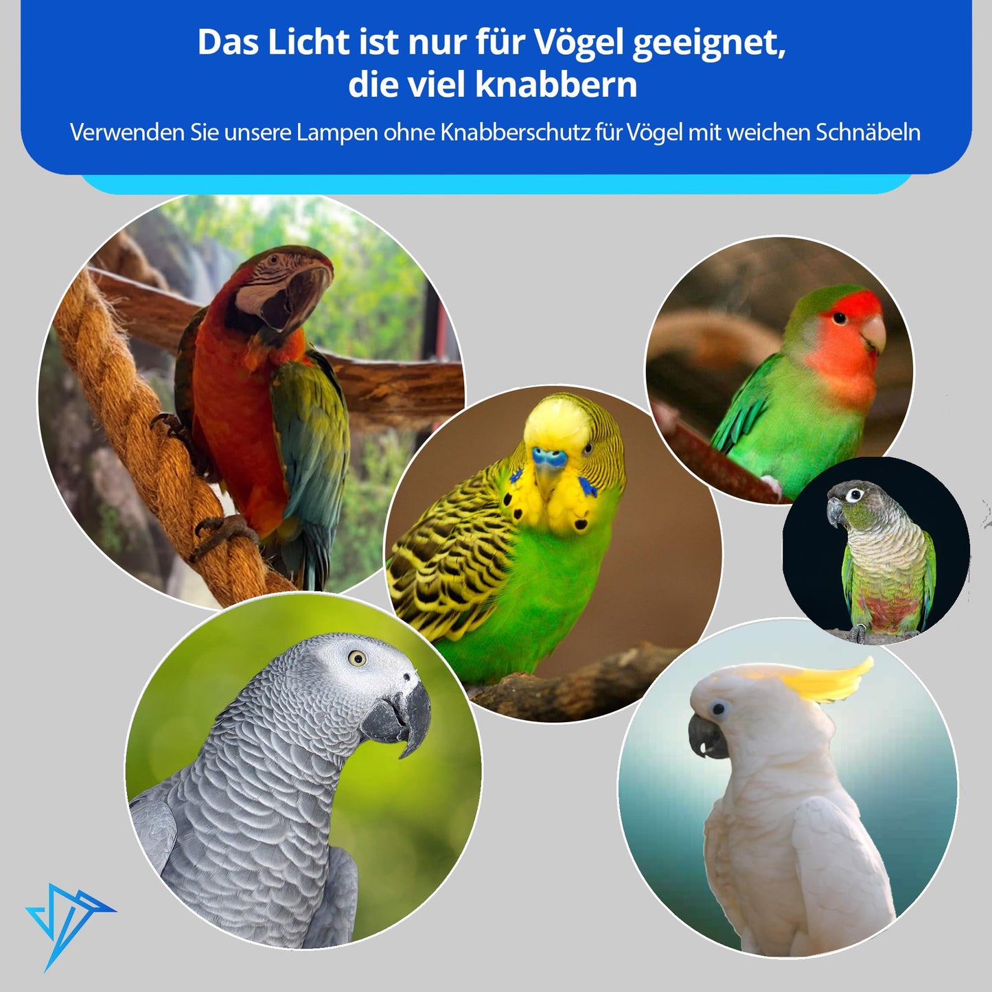 HappyBird Lighting Bird Cage Light with Chew Guard - Full Spectrum LED Pet Light - Simulates Natural Environment - Safe for Hookbill Birds – Easy to Install - (18" Long)