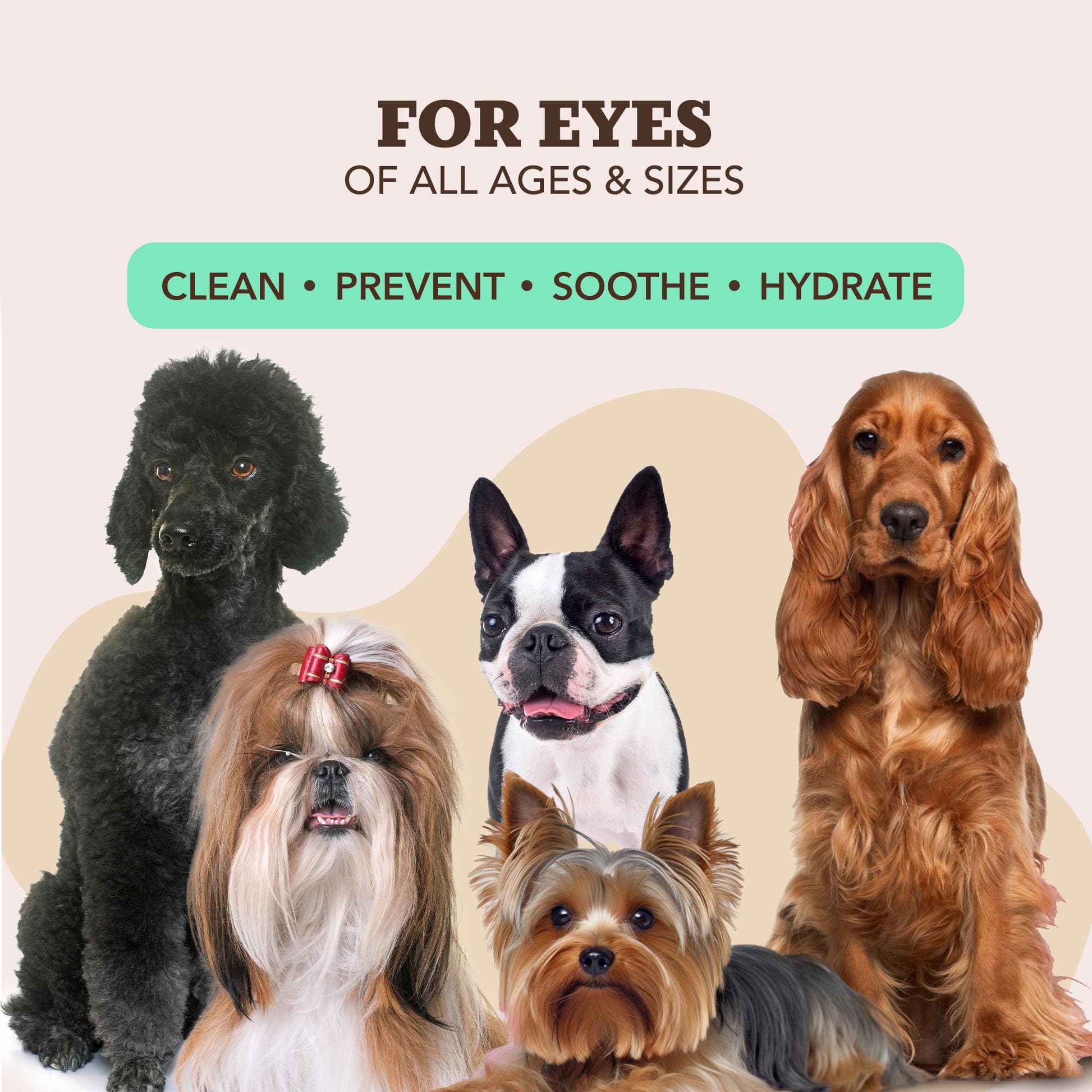 Natural Dog Company Wrinkle Wipes for Dogs, 100 Count, Hypoallergenic Dog Wipes, Wrinkle Wipes French Bulldog, Cleaning & Deodorizing, Dog Wipes for Grooming Faces, Paws & Butts