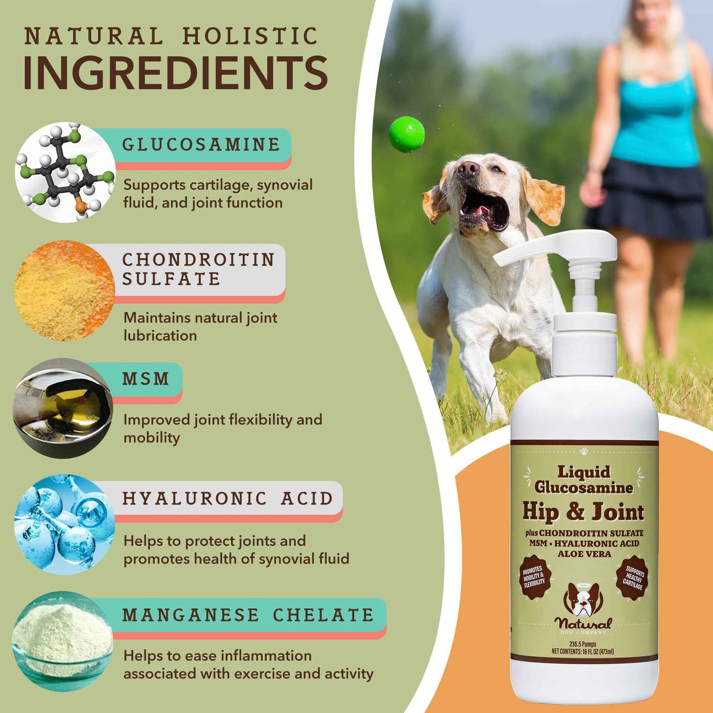 Natural Dog Company Liquid Glucosamine Hip & Joint Oil for Dogs, 16 oz, Extra Strength Cartilage & Joint Support, Helps Mobility and Eases Occasional Stiffness, Dog Vitamins & Supplements