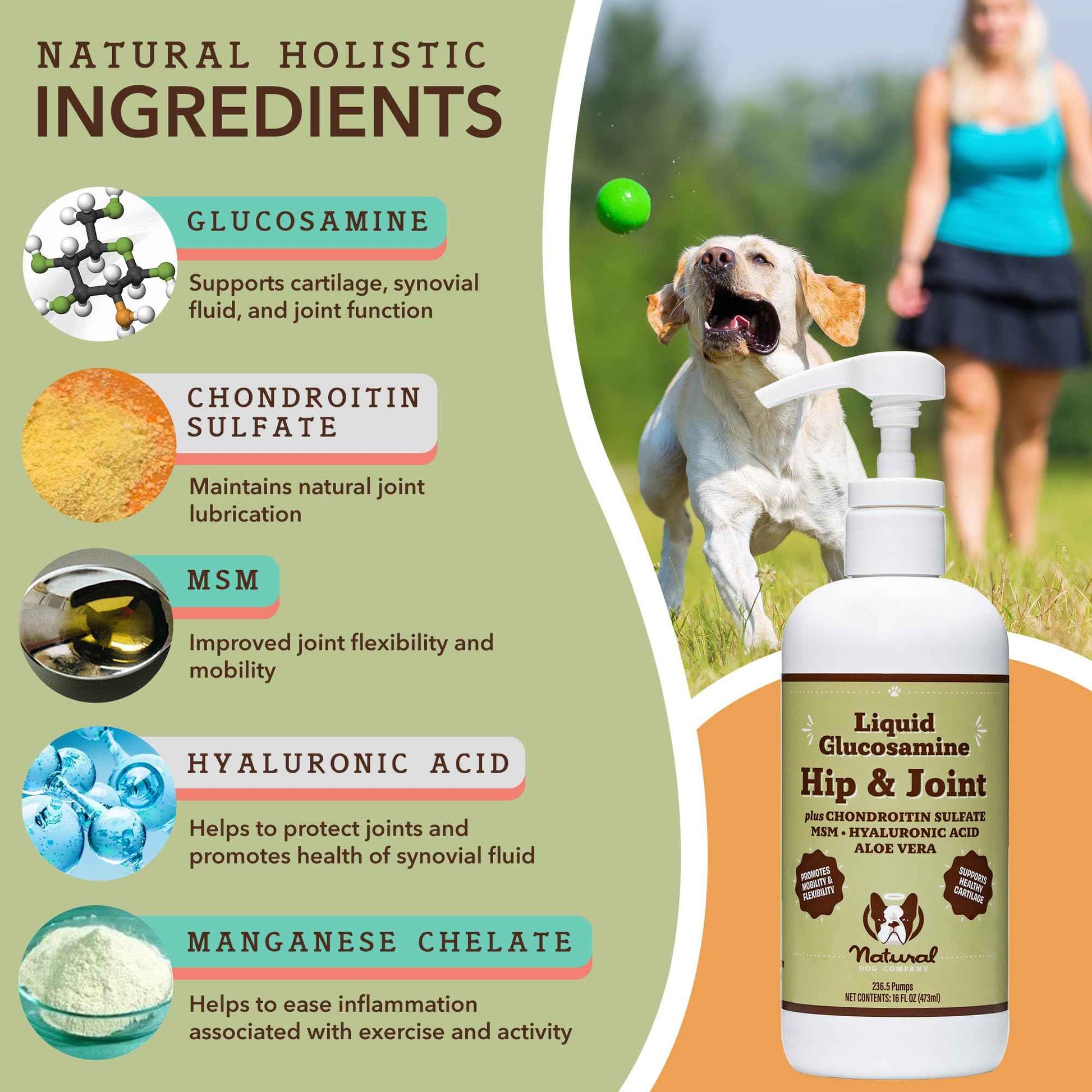 Natural Dog Company Liquid Glucosamine Hip & Joint Oil for Dogs, 16 oz, Extra Strength Cartilage & Joint Support, Helps Mobility and Eases Occasional Stiffness, Dog Vitamins & Supplements