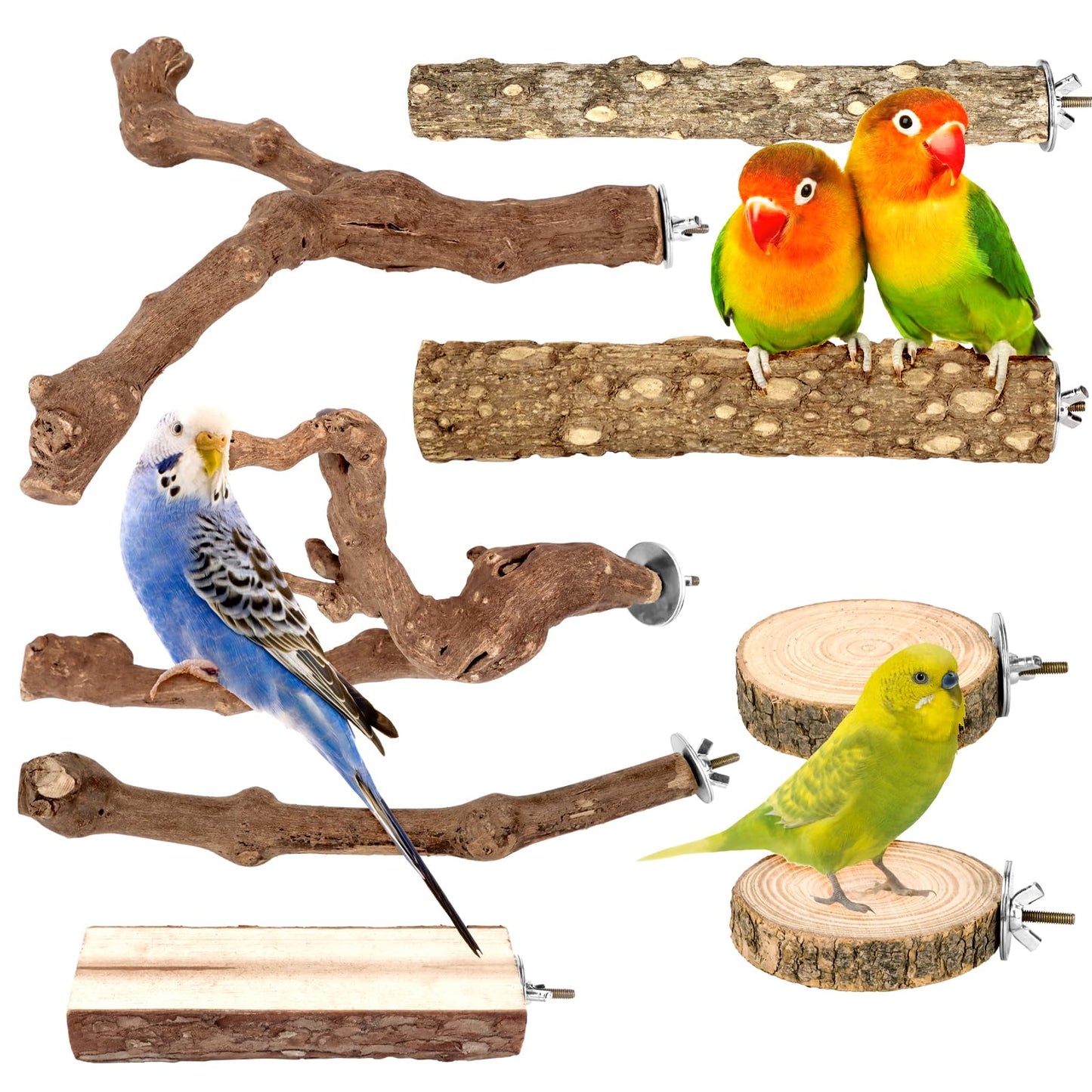 Natural Wood Bird Perches for Cage, Parrot Perch Stand & Platform, Bird Cage Accessories for Parakeets, Cockatiels, Conures, Lovebirds (Brown, Core Perch & Platform - 8PCS)