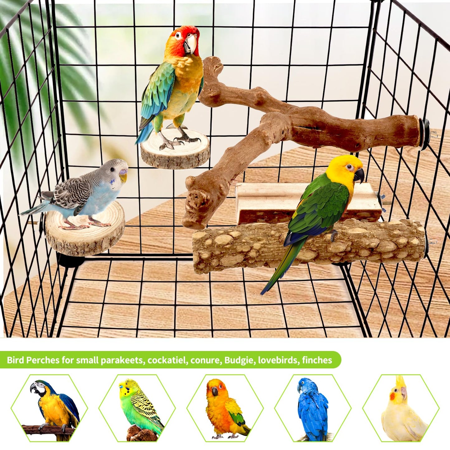 Natural Wood Bird Perches for Cage, Parrot Perch Stand & Platform, Bird Cage Accessories for Parakeets, Cockatiels, Conures, Lovebirds (Brown, Core Perch & Platform - 8PCS)