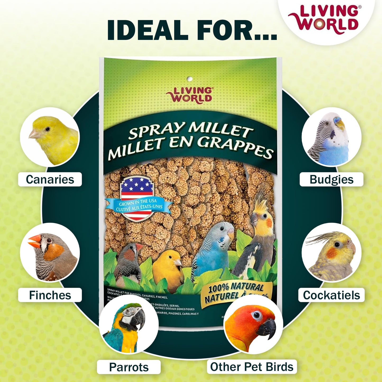 Living World - Millet Spray for Birds, 3.5 Oz – Premium Treat for Budgies, Canaries, Finches, Cockatiels and Other Pet Birds