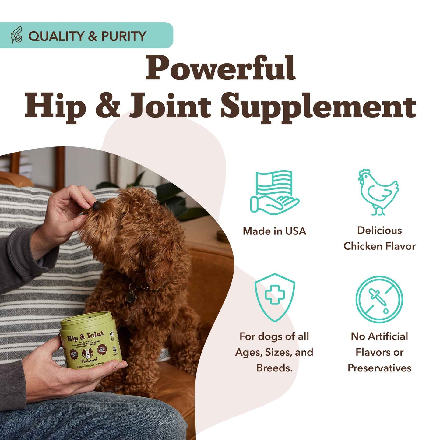 Natural Dog Company Liquid Glucosamine Hip & Joint Oil for Dogs, 16 oz, Extra Strength Cartilage & Joint Support, Helps Mobility and Eases Occasional Stiffness, Dog Vitamins & Supplements