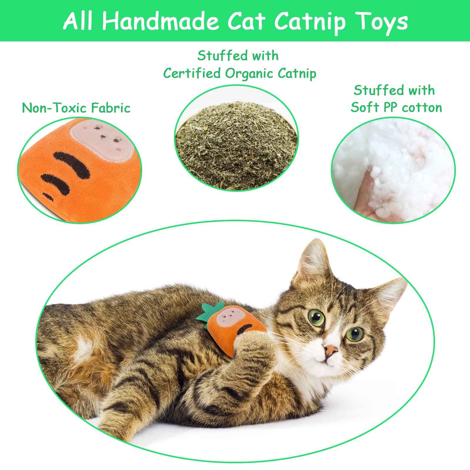 Catnip Cat Toys, Safe Teeth Cleaning Cat Nip Toys for Indoor Kitten Kitty,Interactive Plush Cat Chew Kicker Toys, 5 Pack, Vegetable Shape