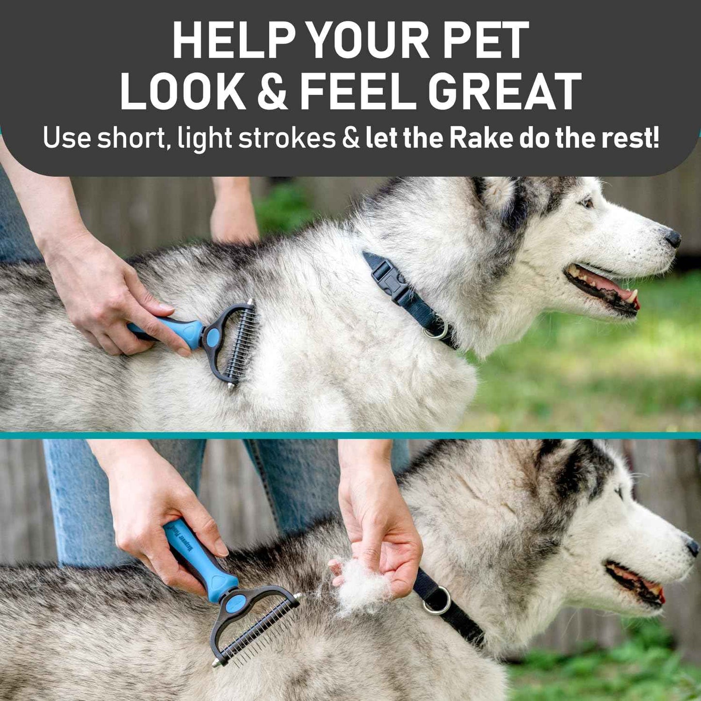 Maxpower Planet Pet Grooming Brush - Double Sided Shedding and Dematting Undercoat Rake Comb for Dogs and Cats,Extra Wide (B1 - Rake, Gloves & Comb, Large)