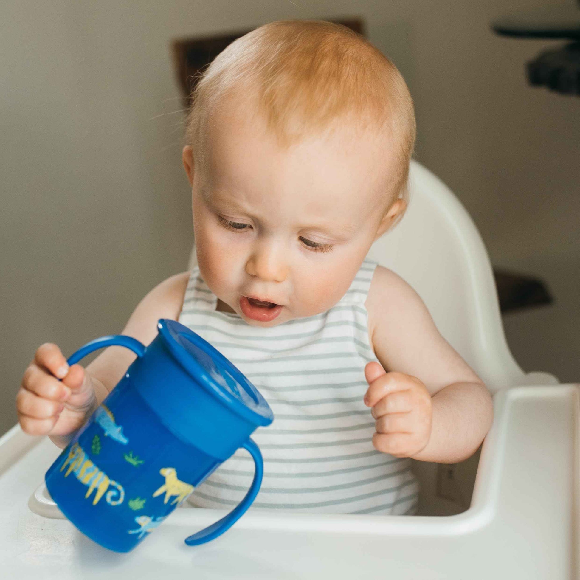 Dr. Brown's Polypropylene (PP) Milestones Cheers 360 Sippy Training Cups for Babies and Toddlers - Blue/Green - 10oz - 2-Pack - 9m+