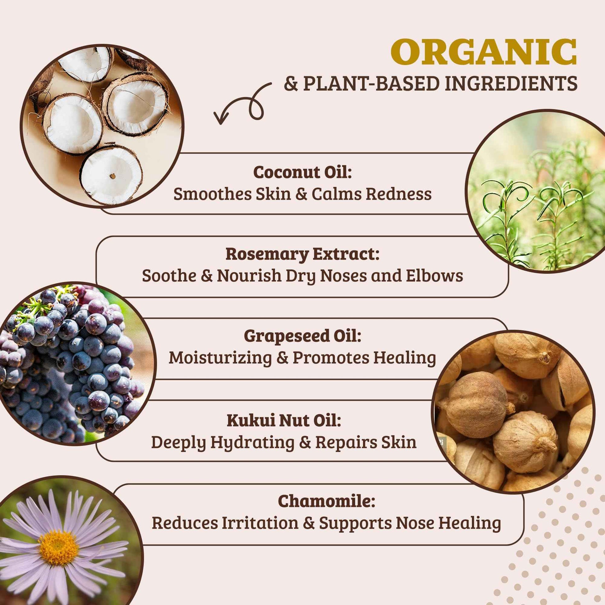 Natural Dog Company Snout Soother Travel Stick 0.15 oz – All Natural Dog Nose Balm for Dry, Cracked Snouts – Organic Moisturizing & Soothing Balm – Lick-Safe Mini Snout Care, Made in USA