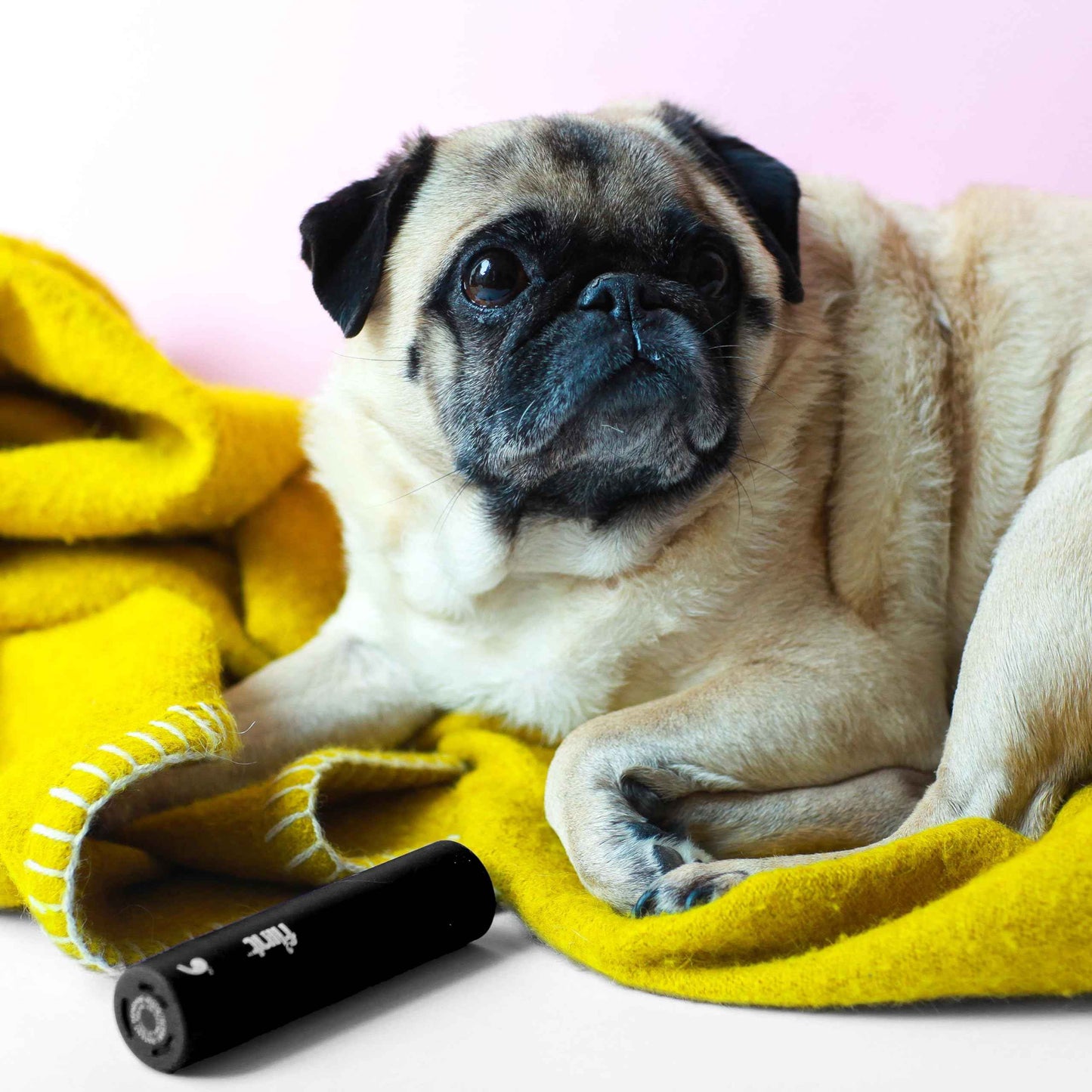 Flint Classic Black Retractable Mini Lint Roller with 90 Extra Sticky Sheets, Small and Portable Lint Roller, Ideal Pet Hair Remover, Travel Lint Rollers for pet Hair Extra Sticky